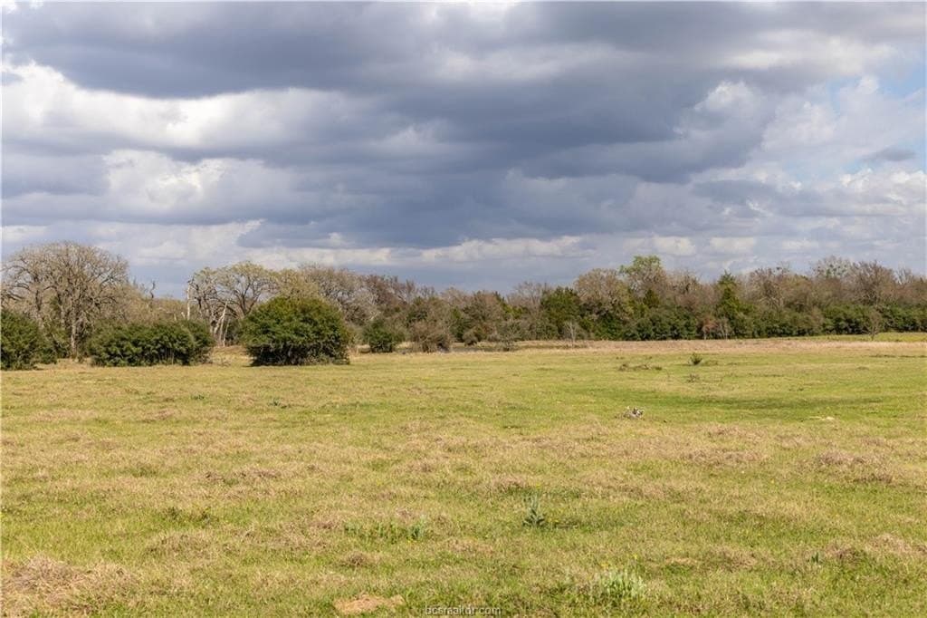 86 acres in Brazos County - photo 16