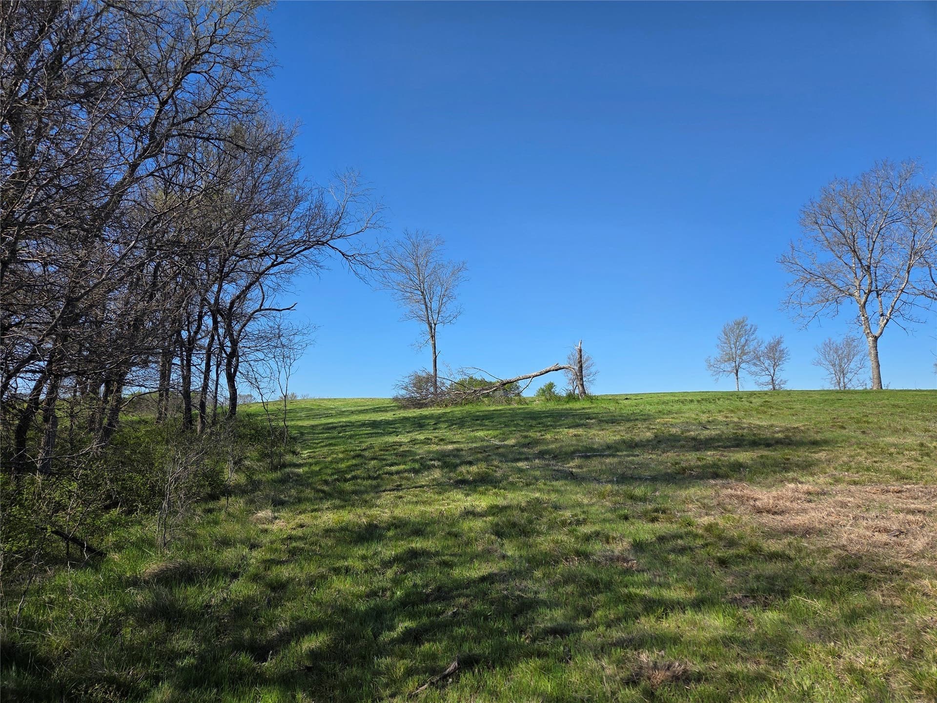 3.04 acres in Navarro County - photo 10