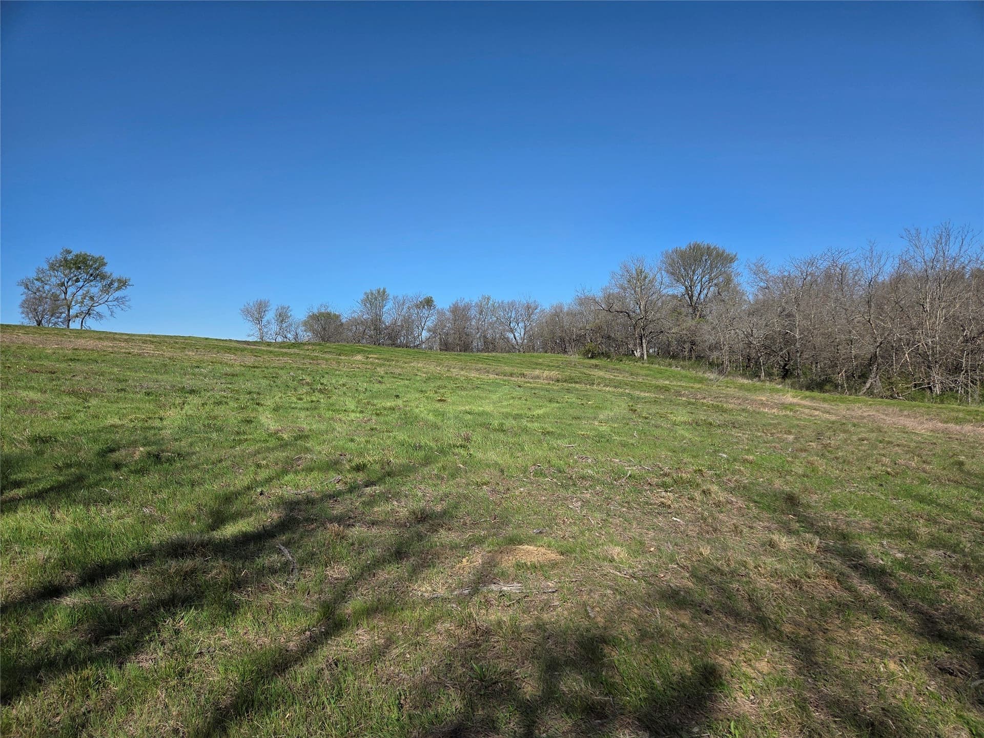 3.04 acres in Navarro County - photo 11