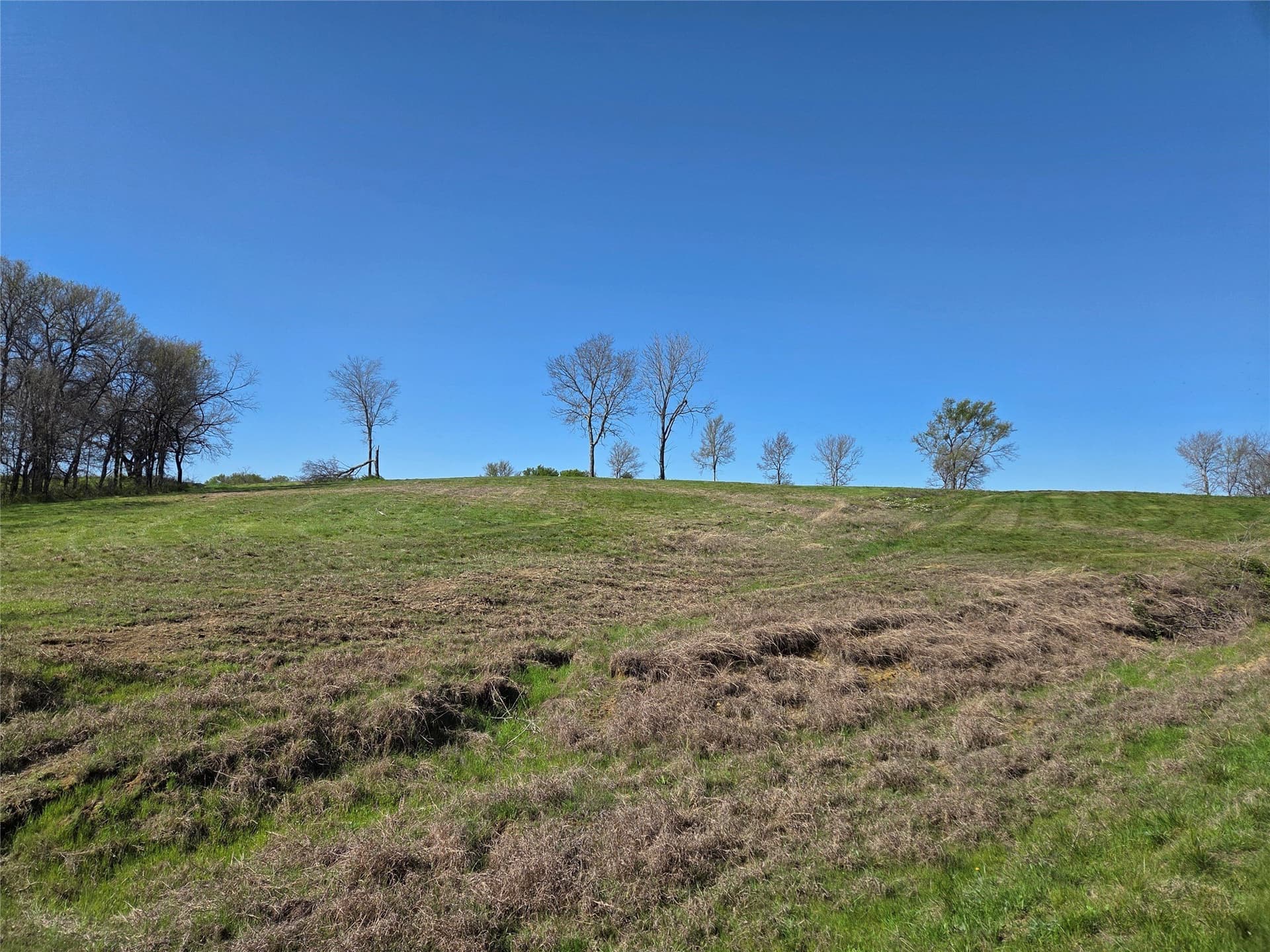3.04 acres in Navarro County - photo 32