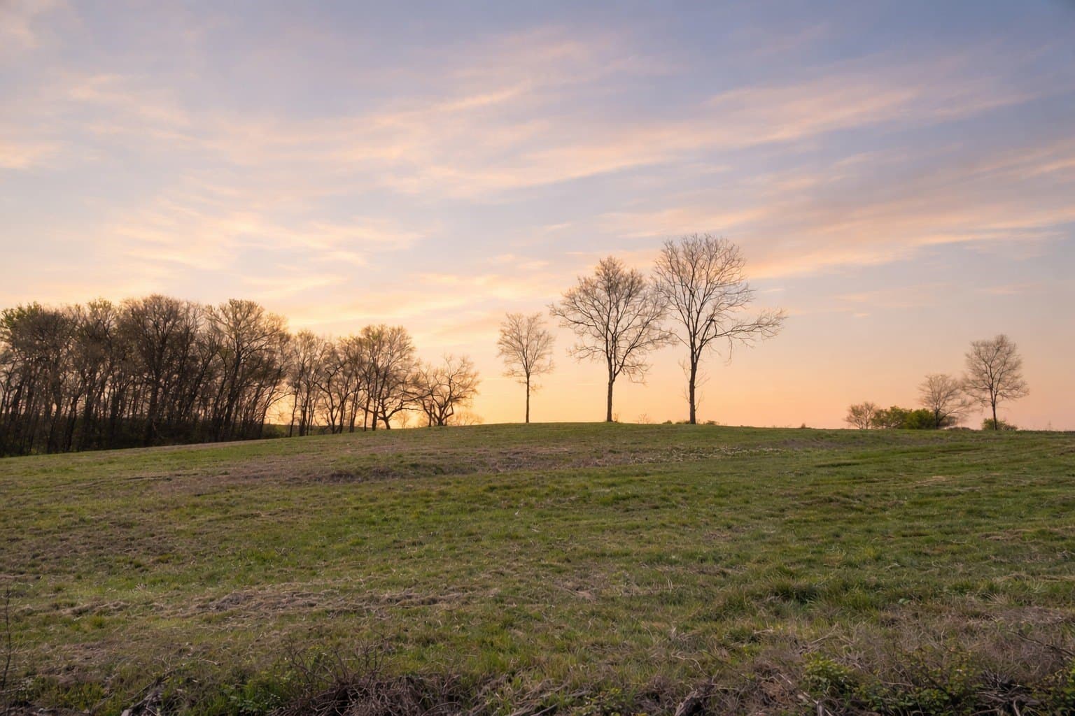 3.04 acres in Navarro County gallery image 3
