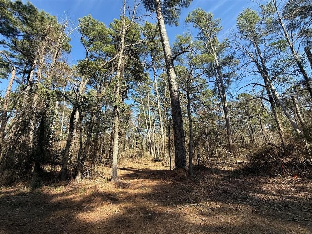 0.57 acres in Wood County gallery image 2