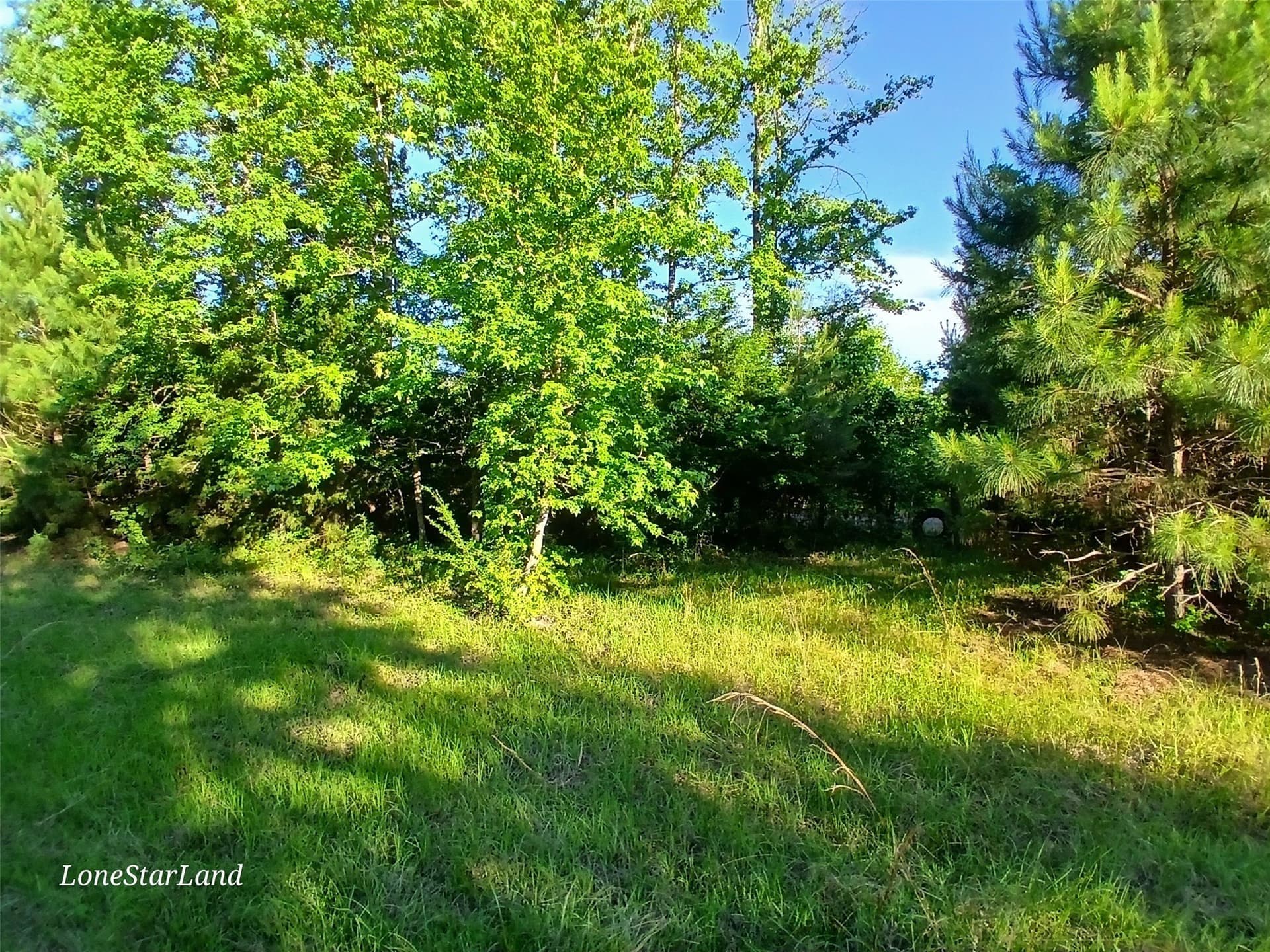 1 acres in Camp County - photo 23