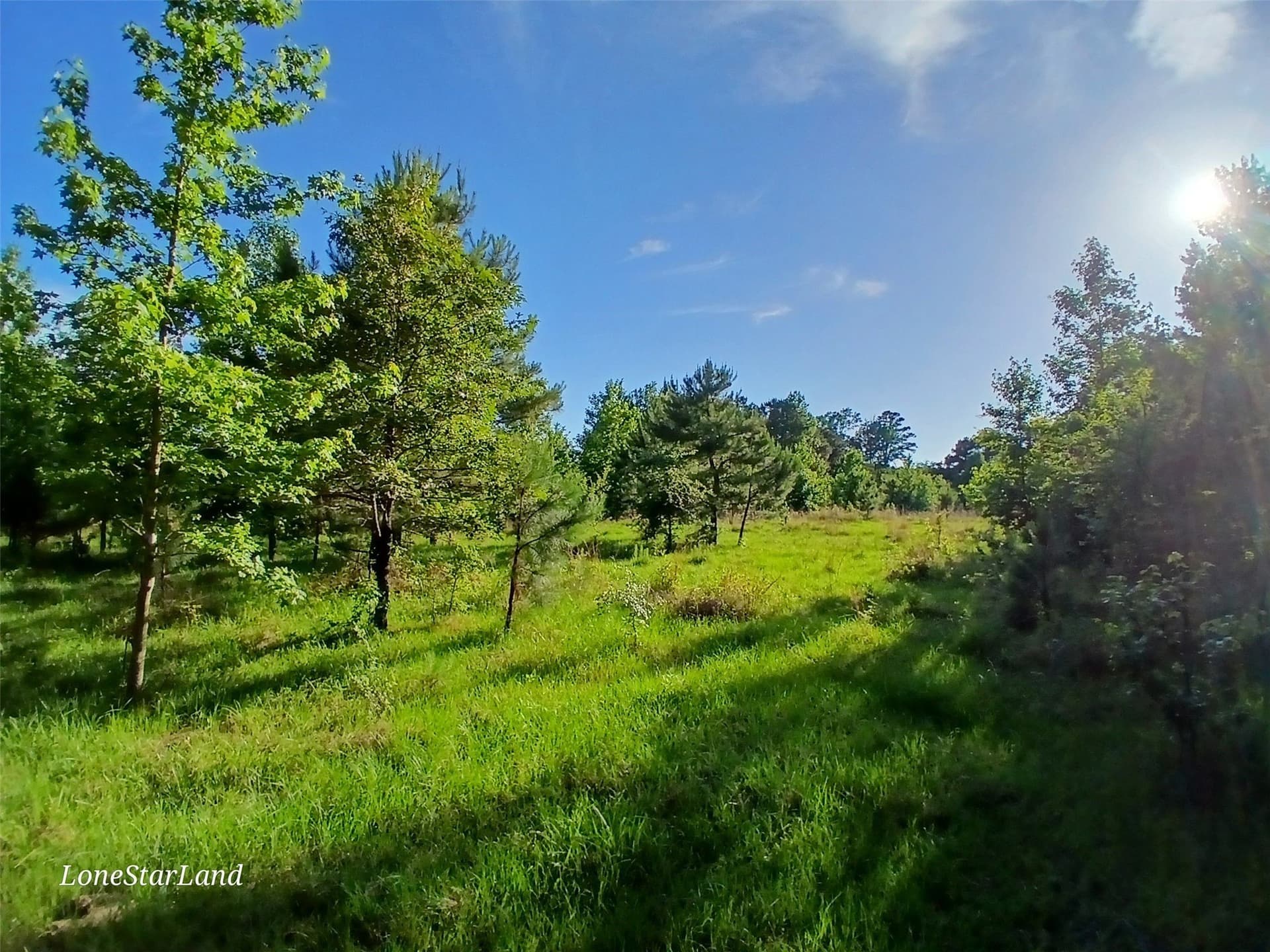 1 acres in Camp County - photo 10