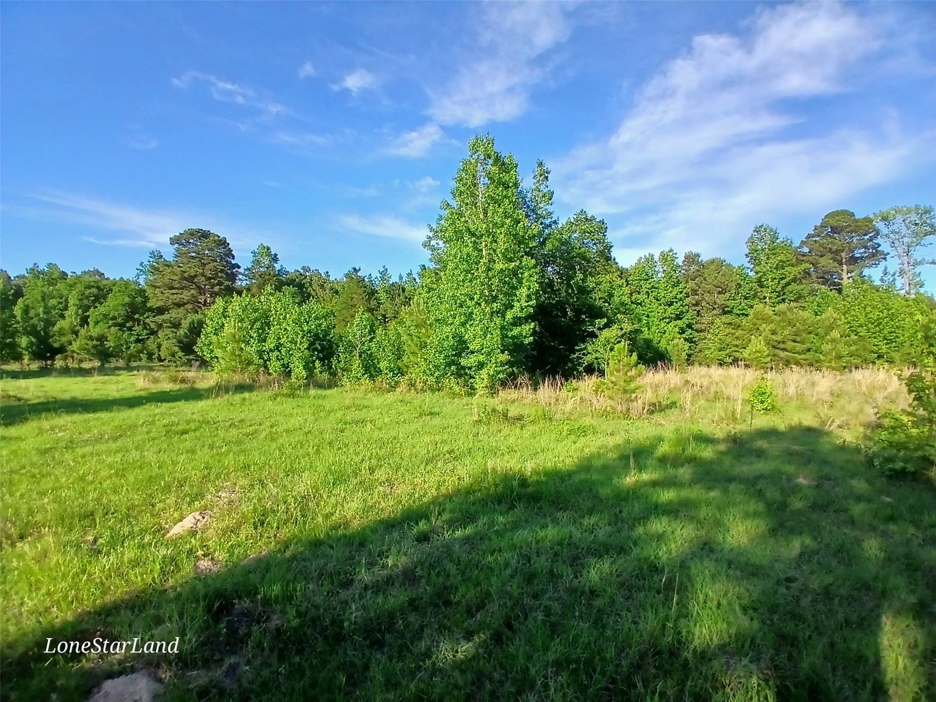 1 acres in Camp County - photo 18