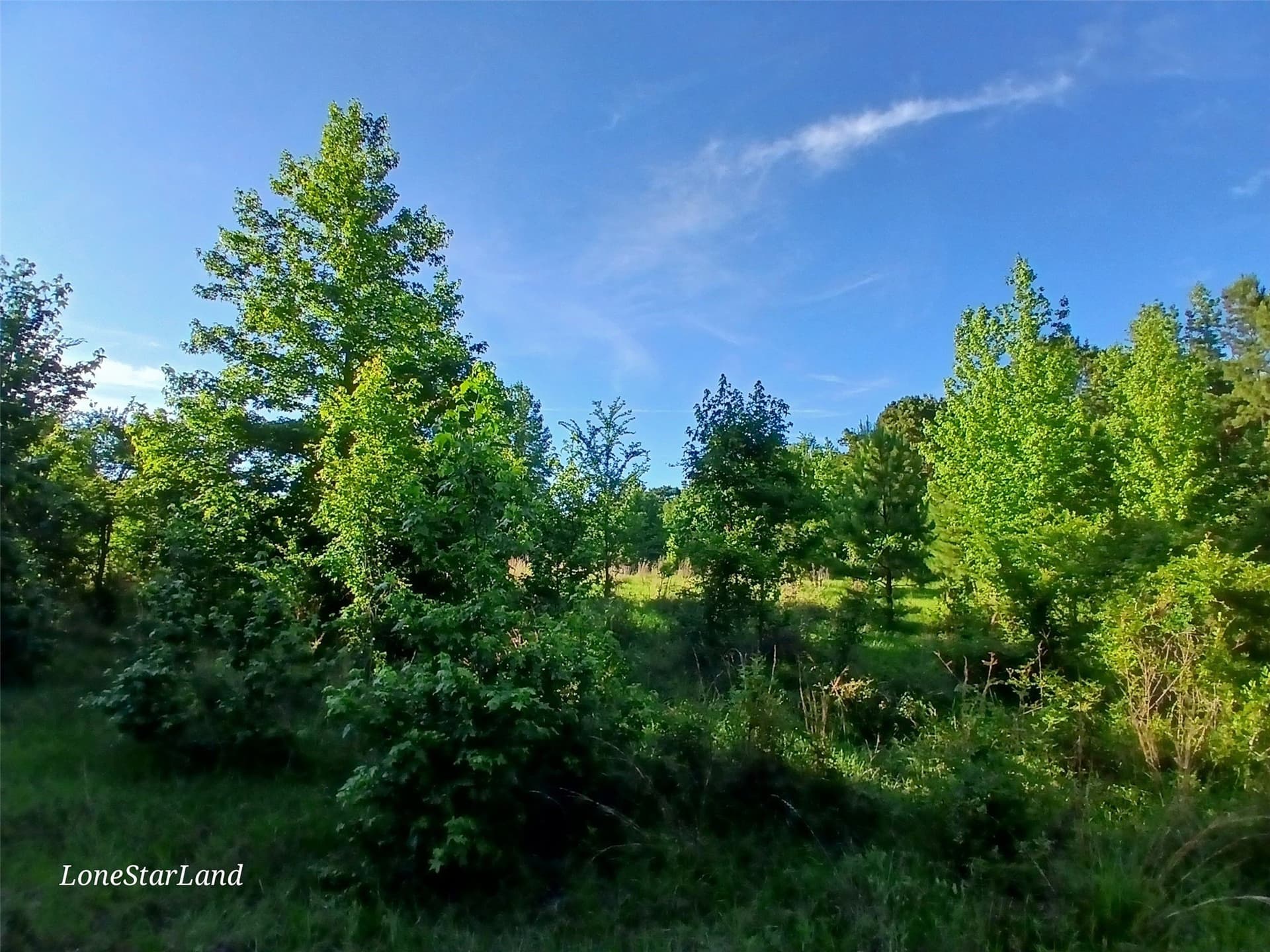 1 acres in Camp County - photo 25