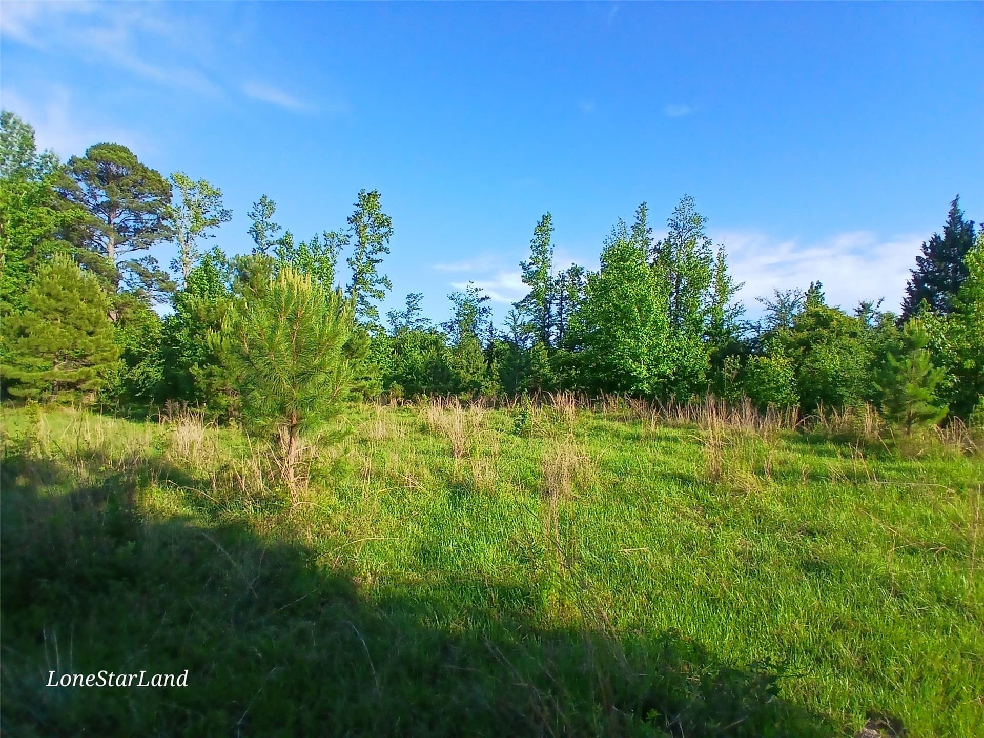 1 acres in Camp County - photo 15