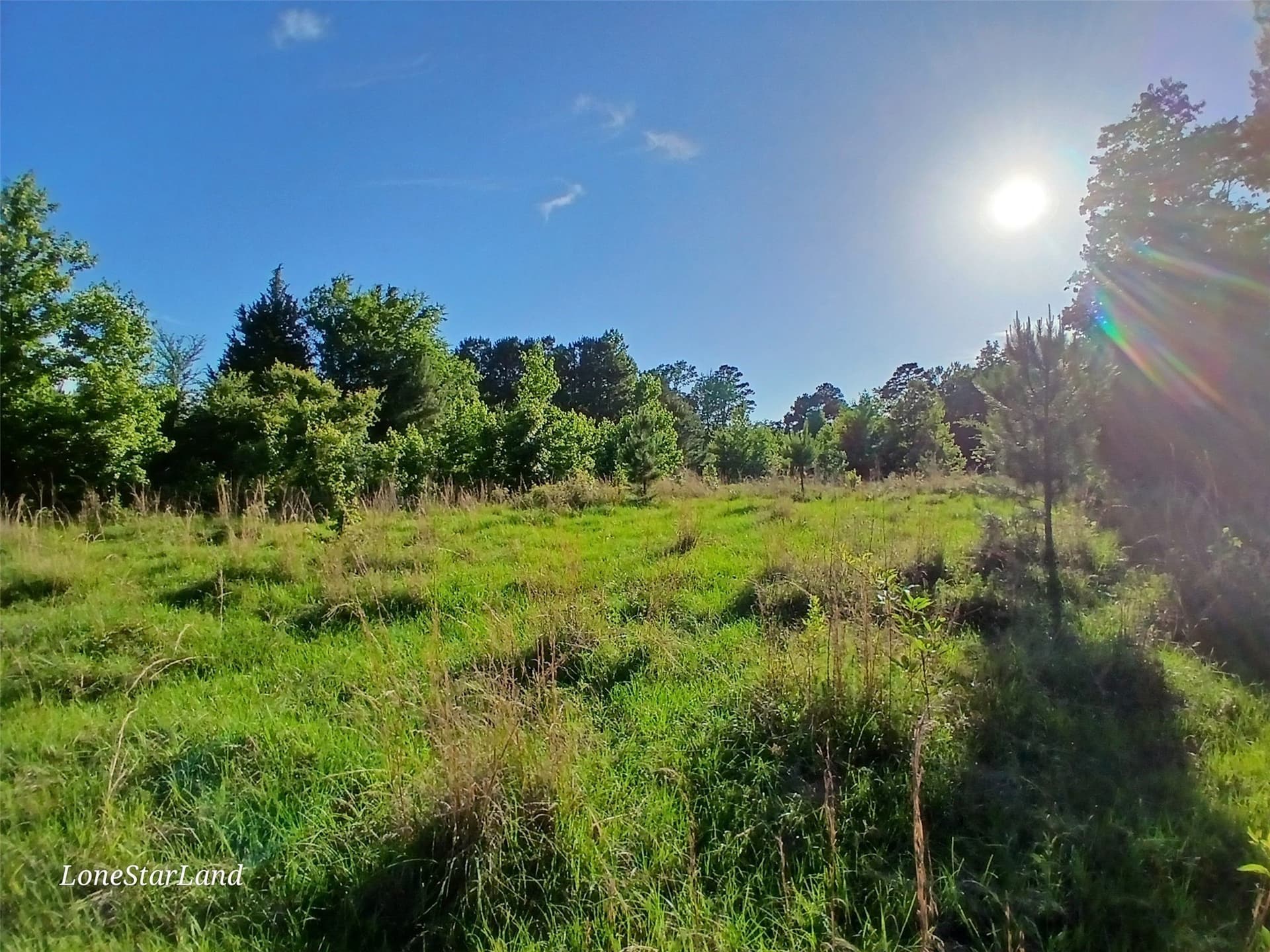 1 acres in Camp County - photo 5