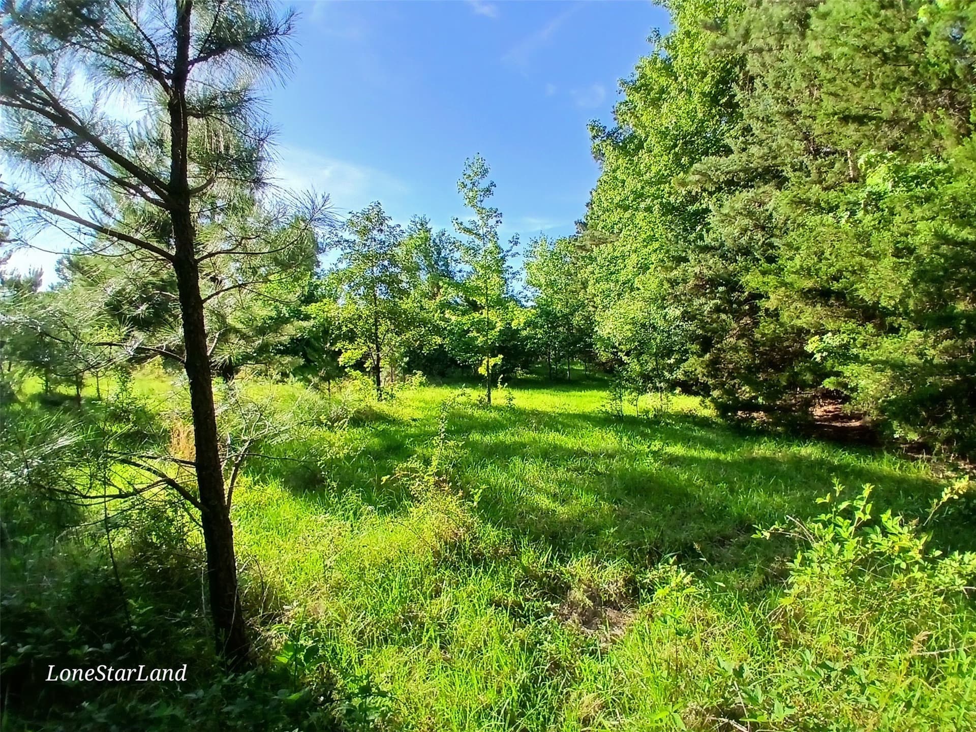 1 acres in Camp County