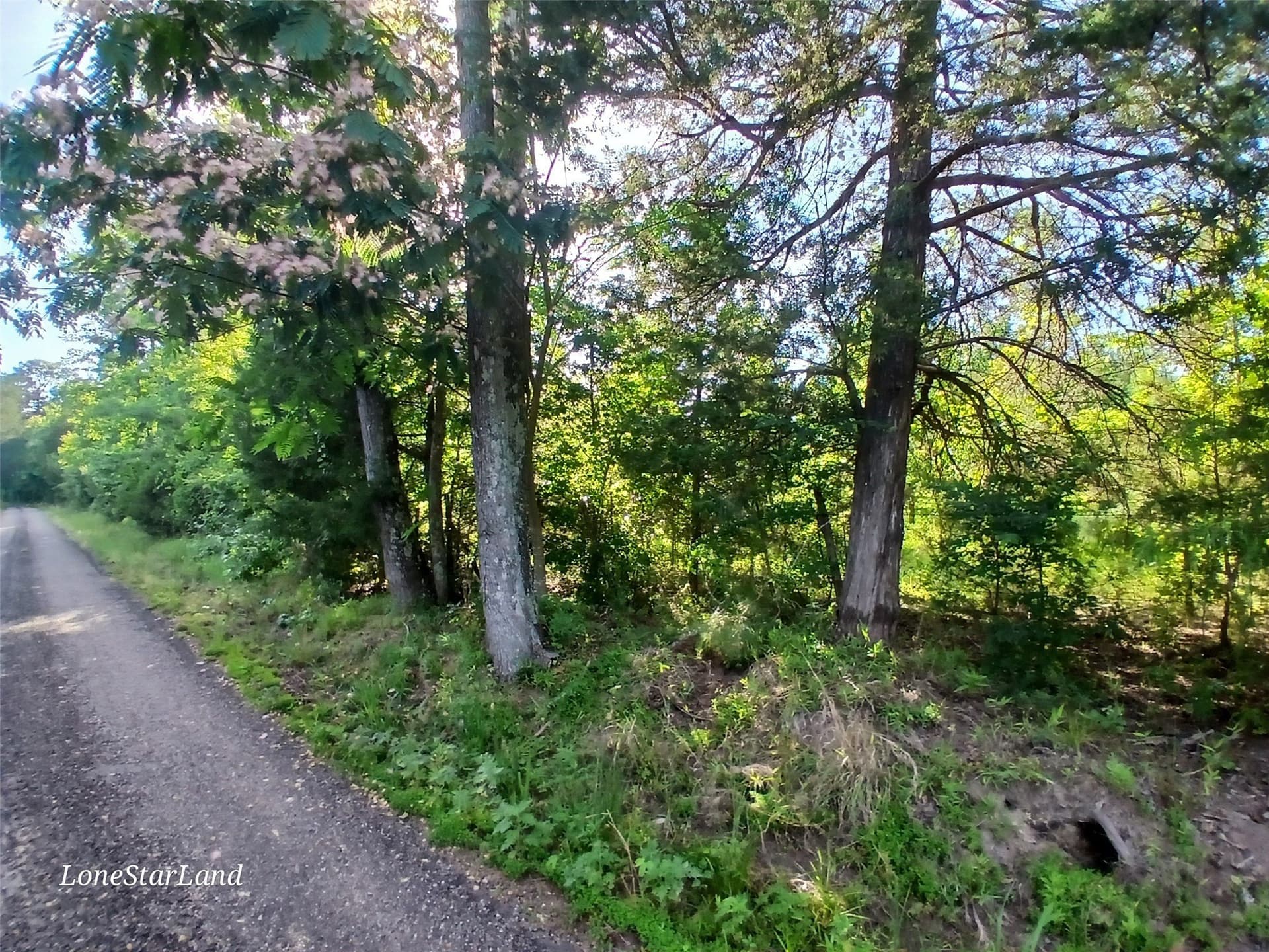 1 acres in Camp County - photo 6