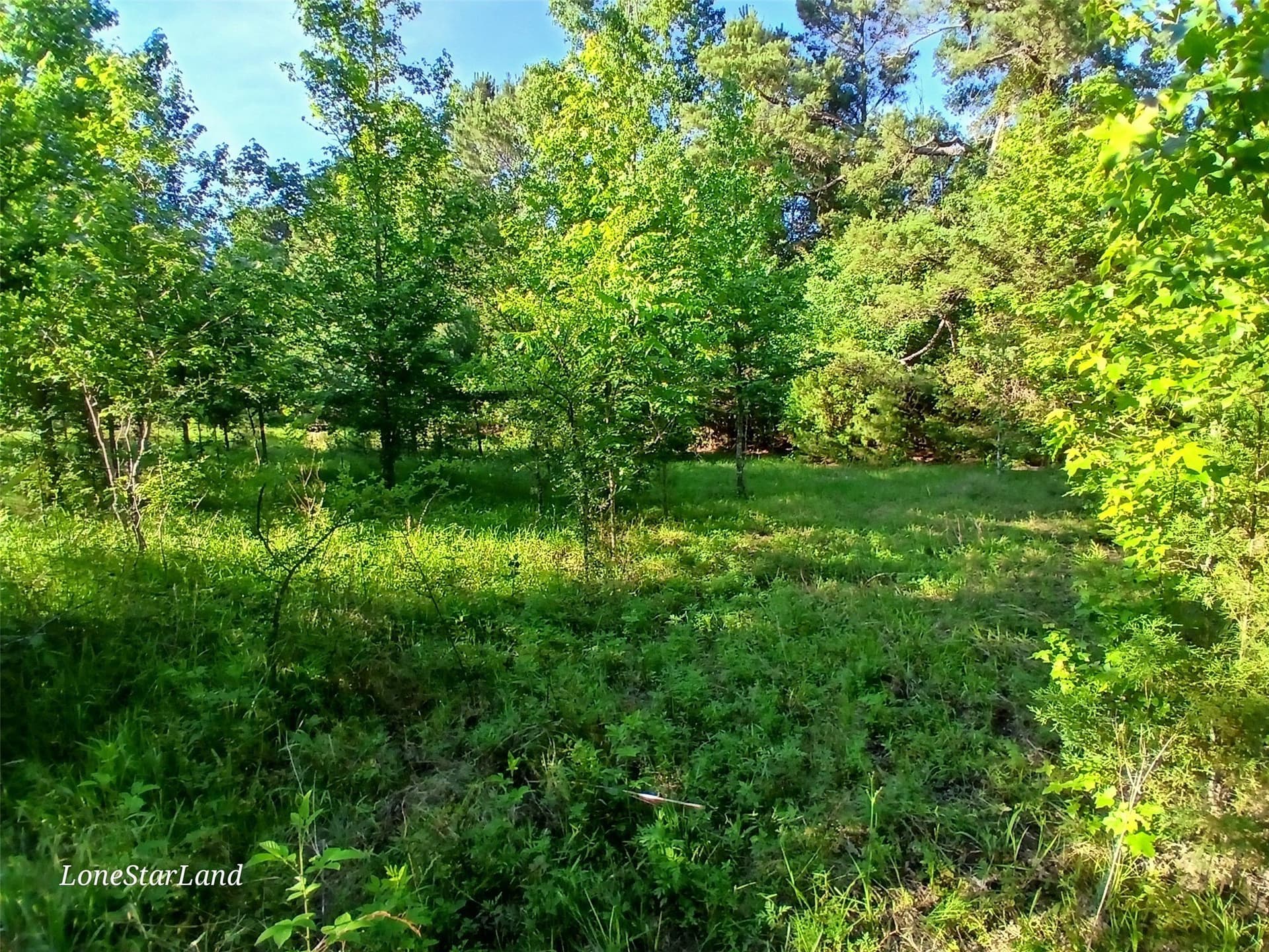 1 acres in Camp County - photo 27