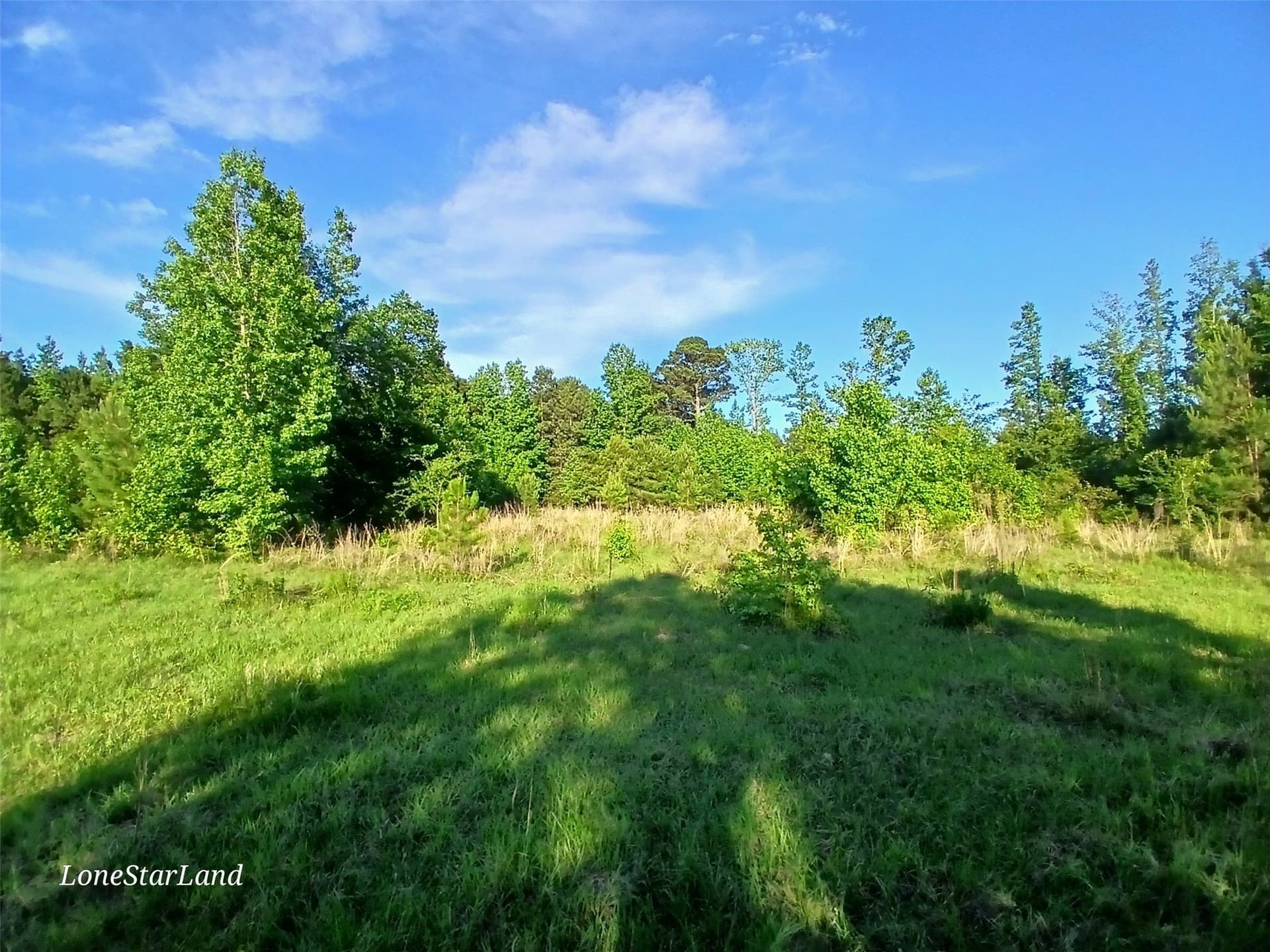 1 acres in Camp County - photo 19