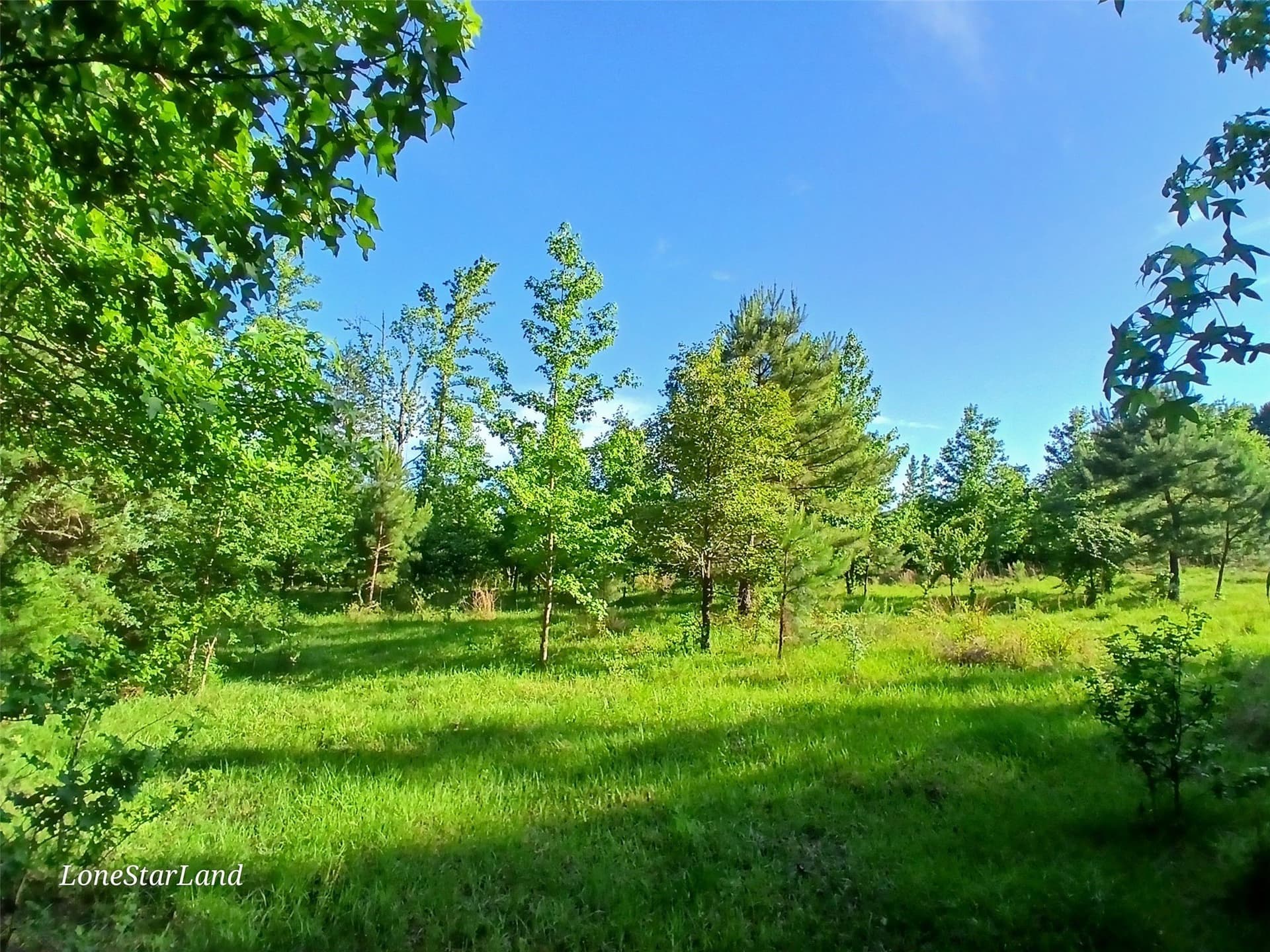 1 acres in Camp County - photo 11