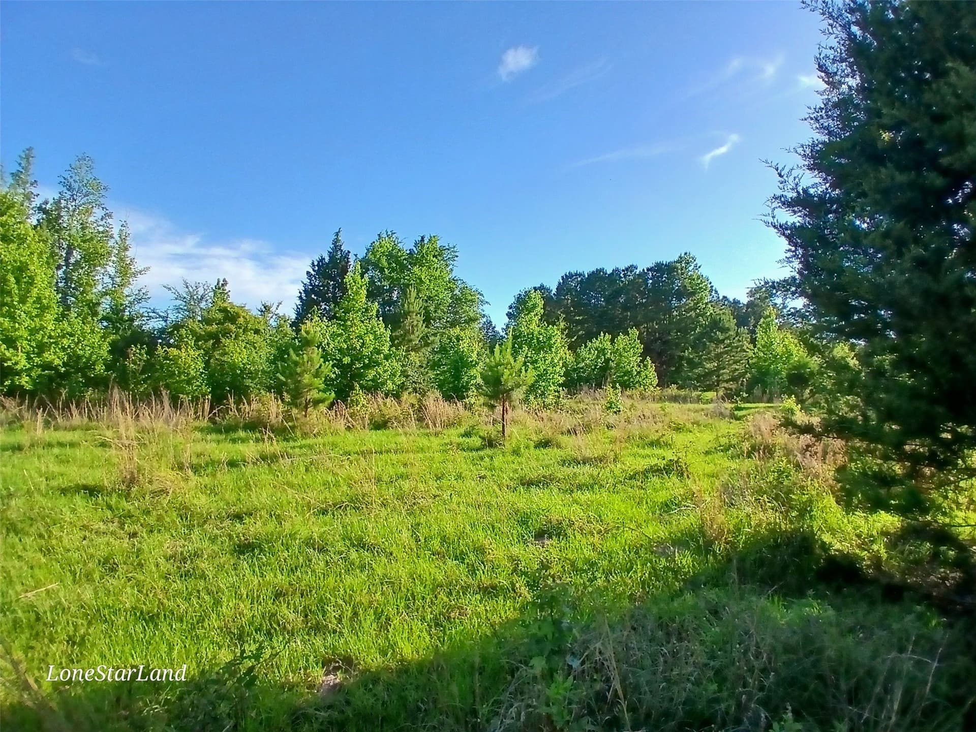1 acres in Camp County - photo 14