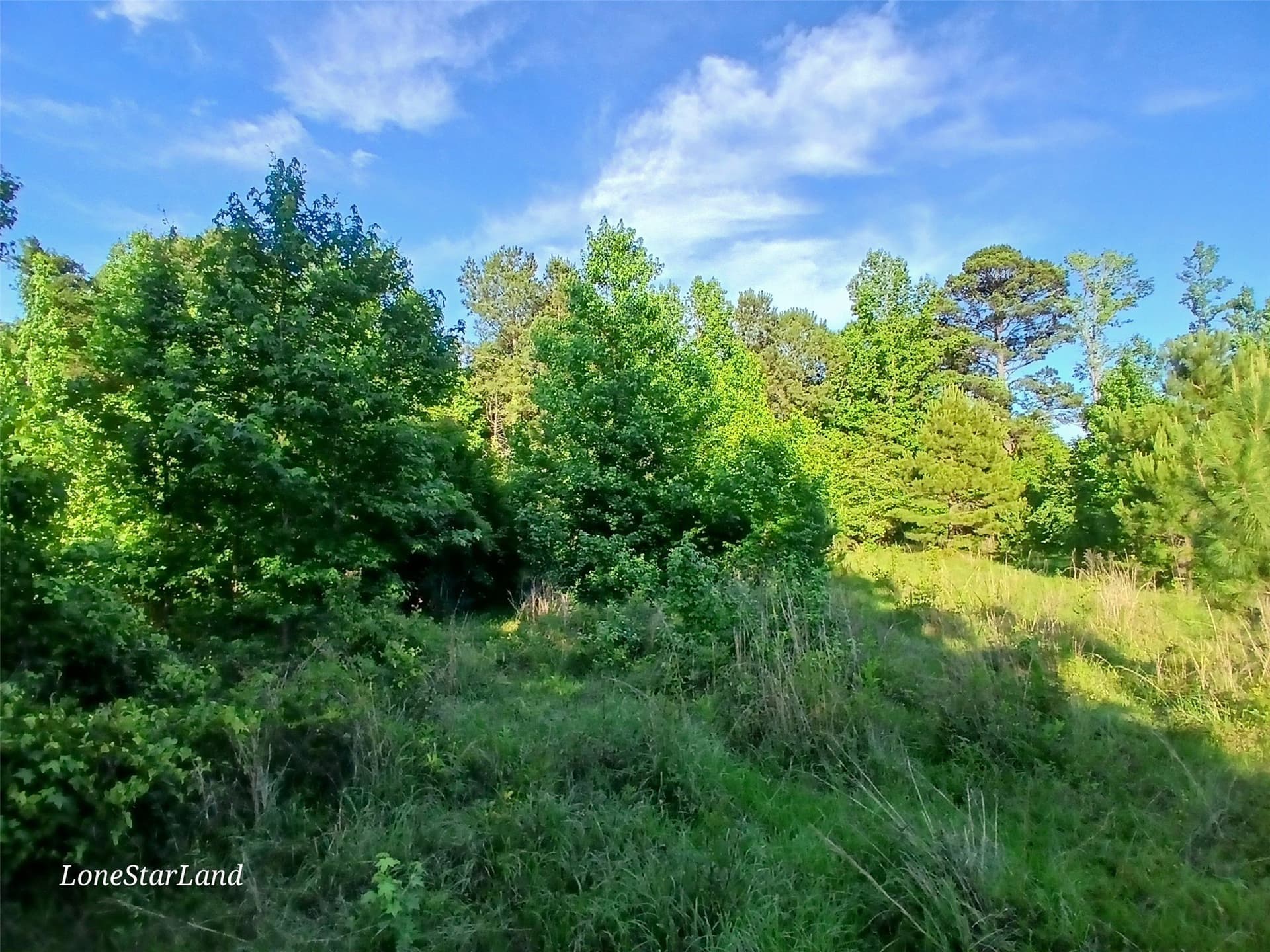 1 acres in Camp County - photo 16