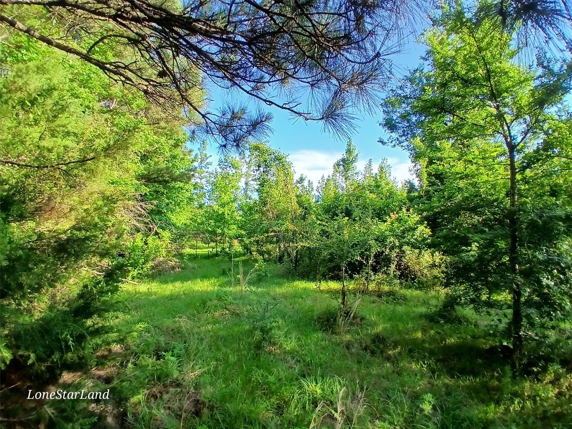 1 acres in Camp County - photo 12