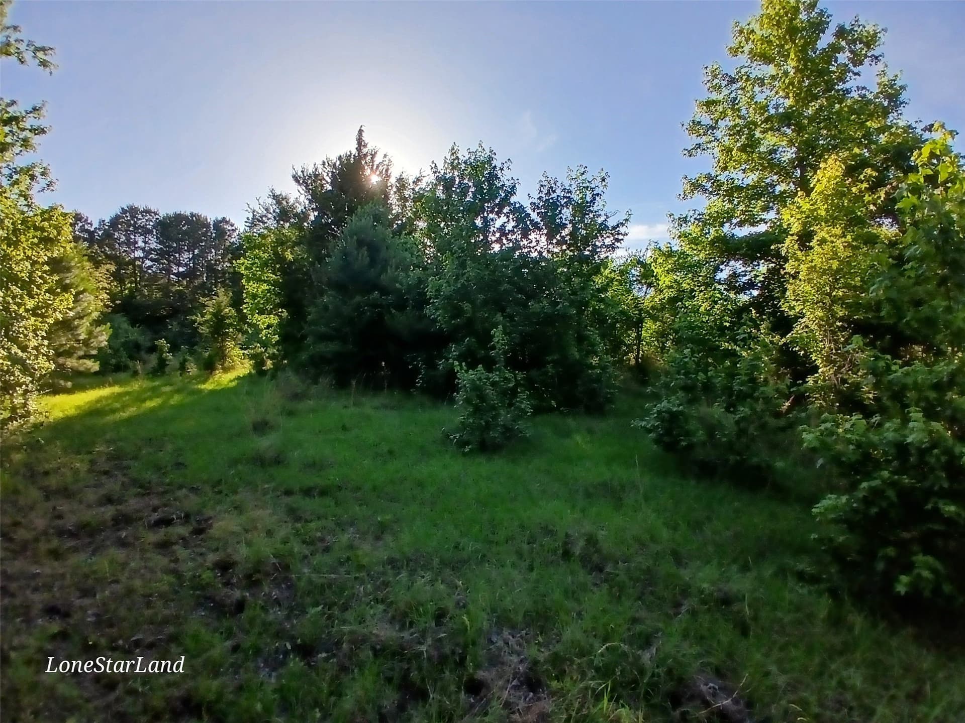 1 acres in Camp County - photo 26