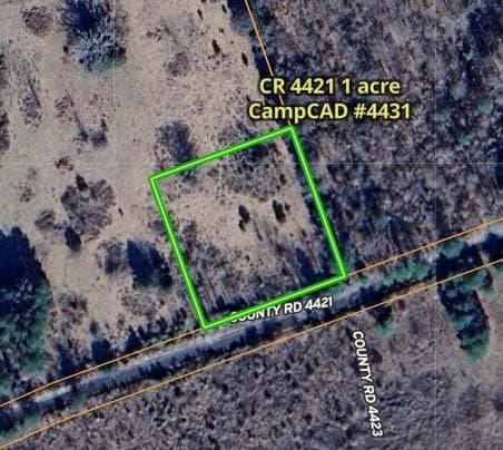 1 acres in Camp County - photo 4
