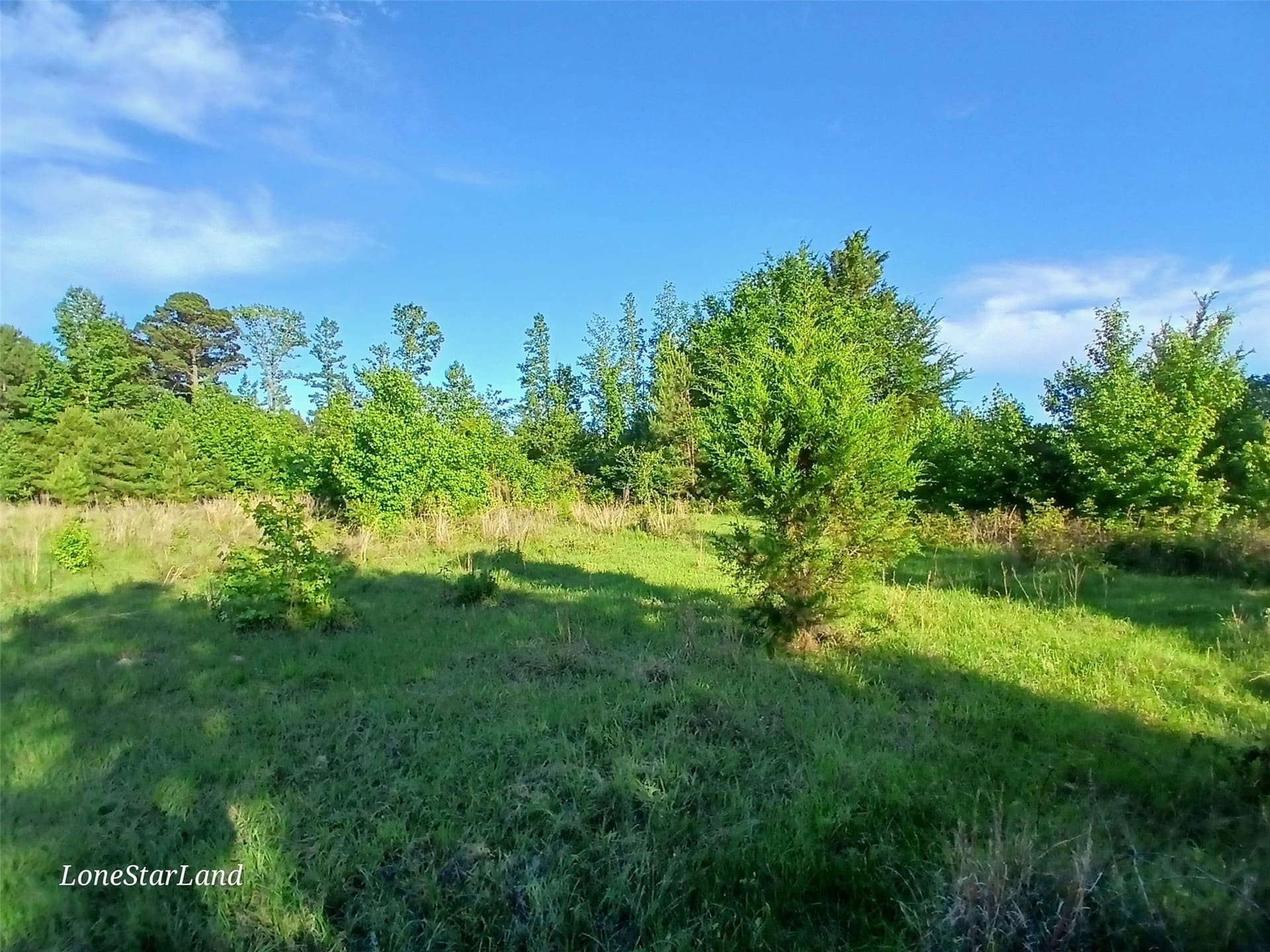 1 acres in Camp County - photo 20