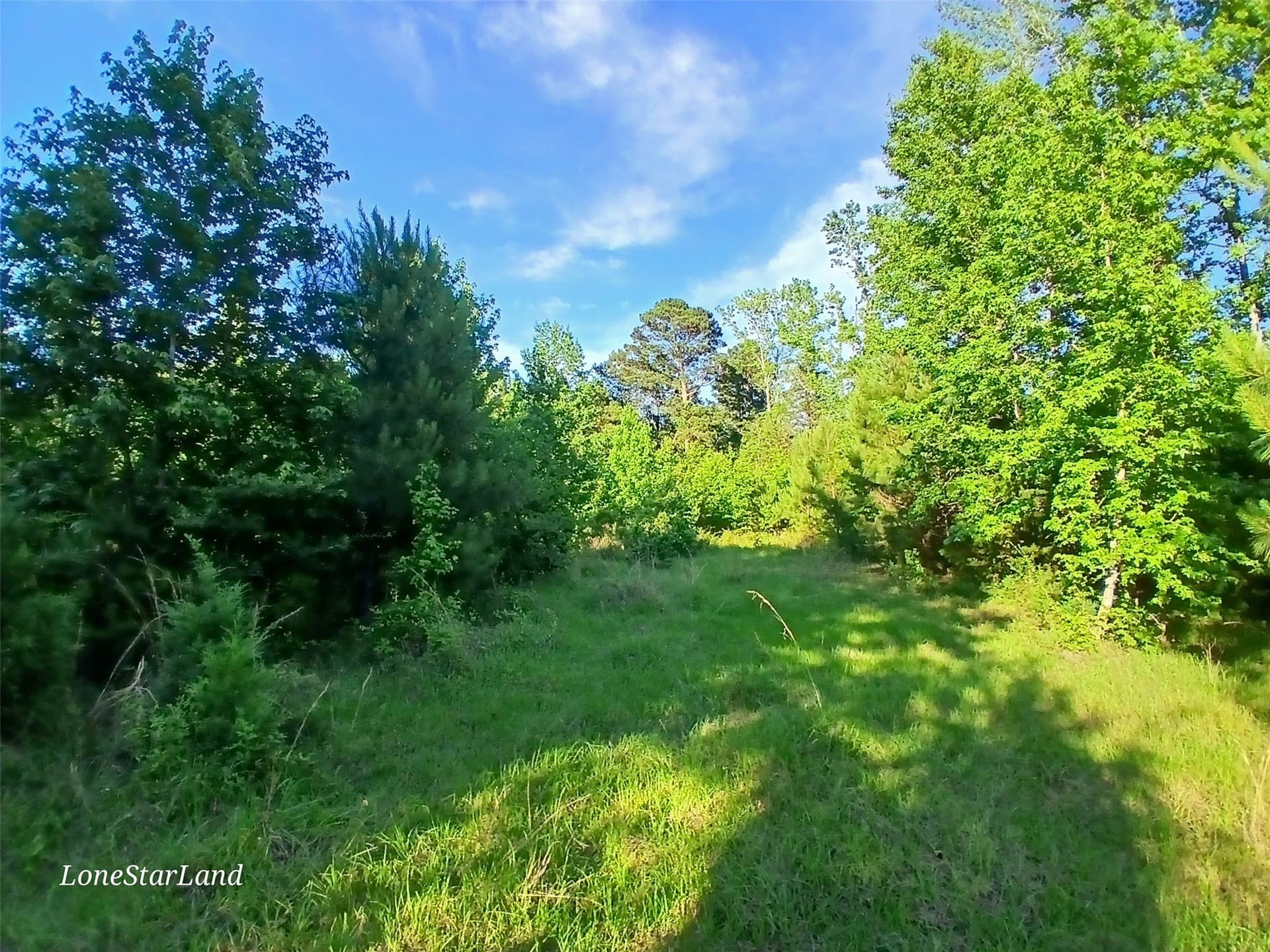 1 acres in Camp County - photo 24