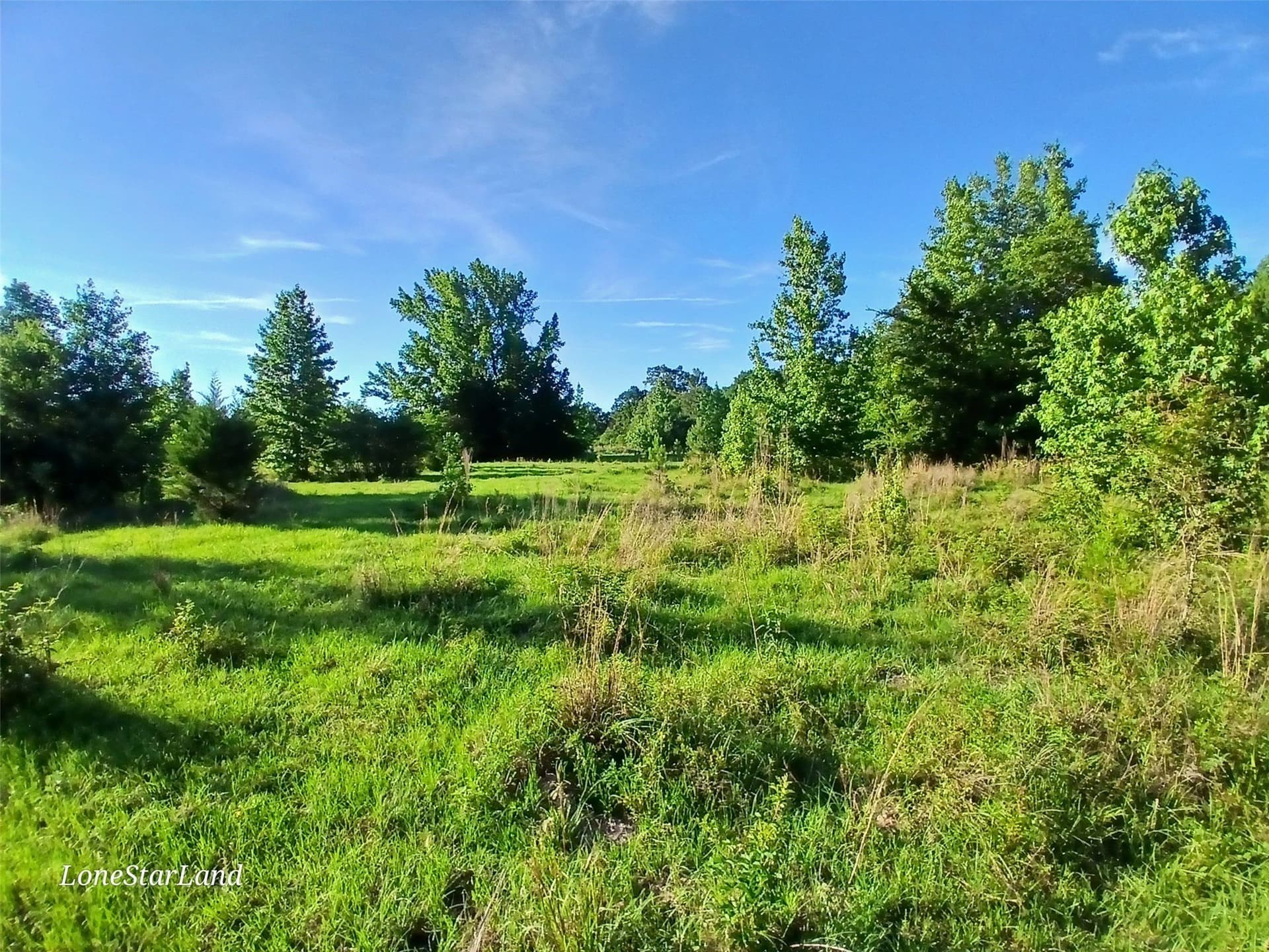 1 acres in Camp County - photo 21