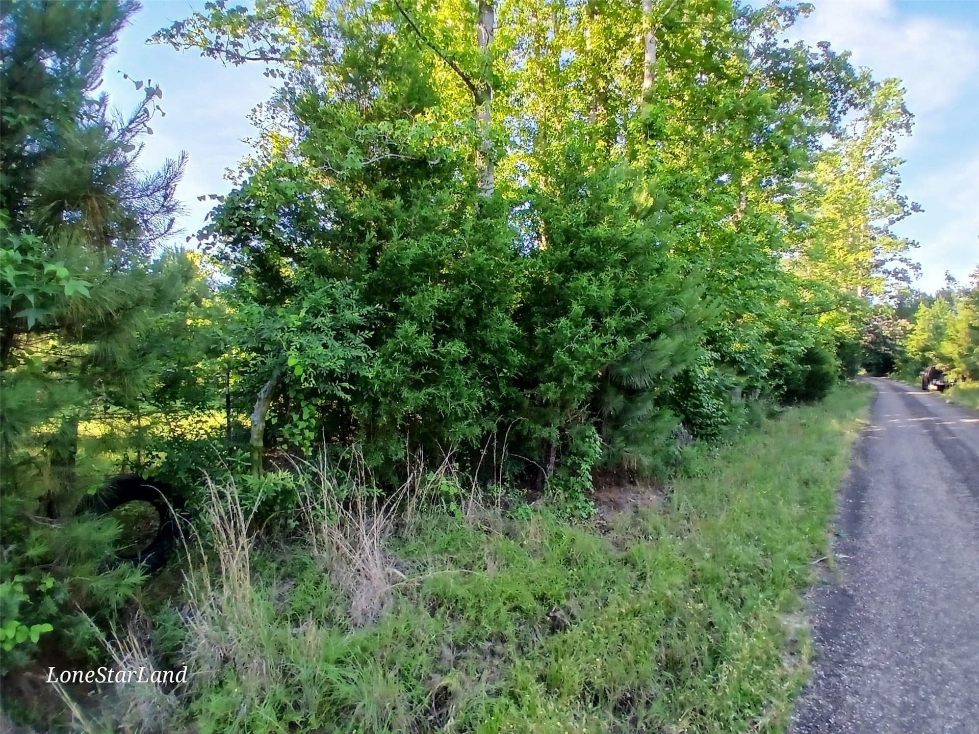 1 acres in Camp County - photo 28