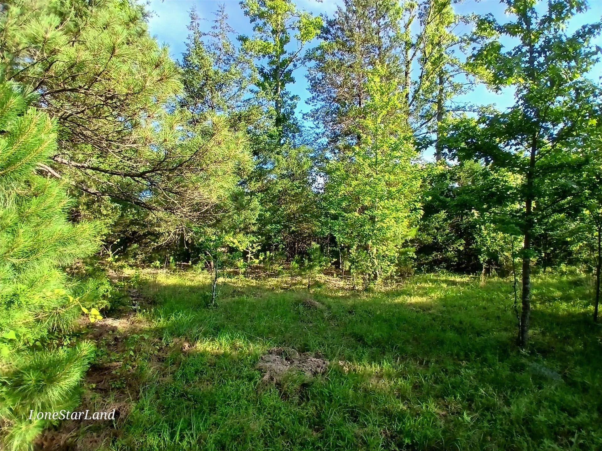 1 acres in Camp County - photo 8