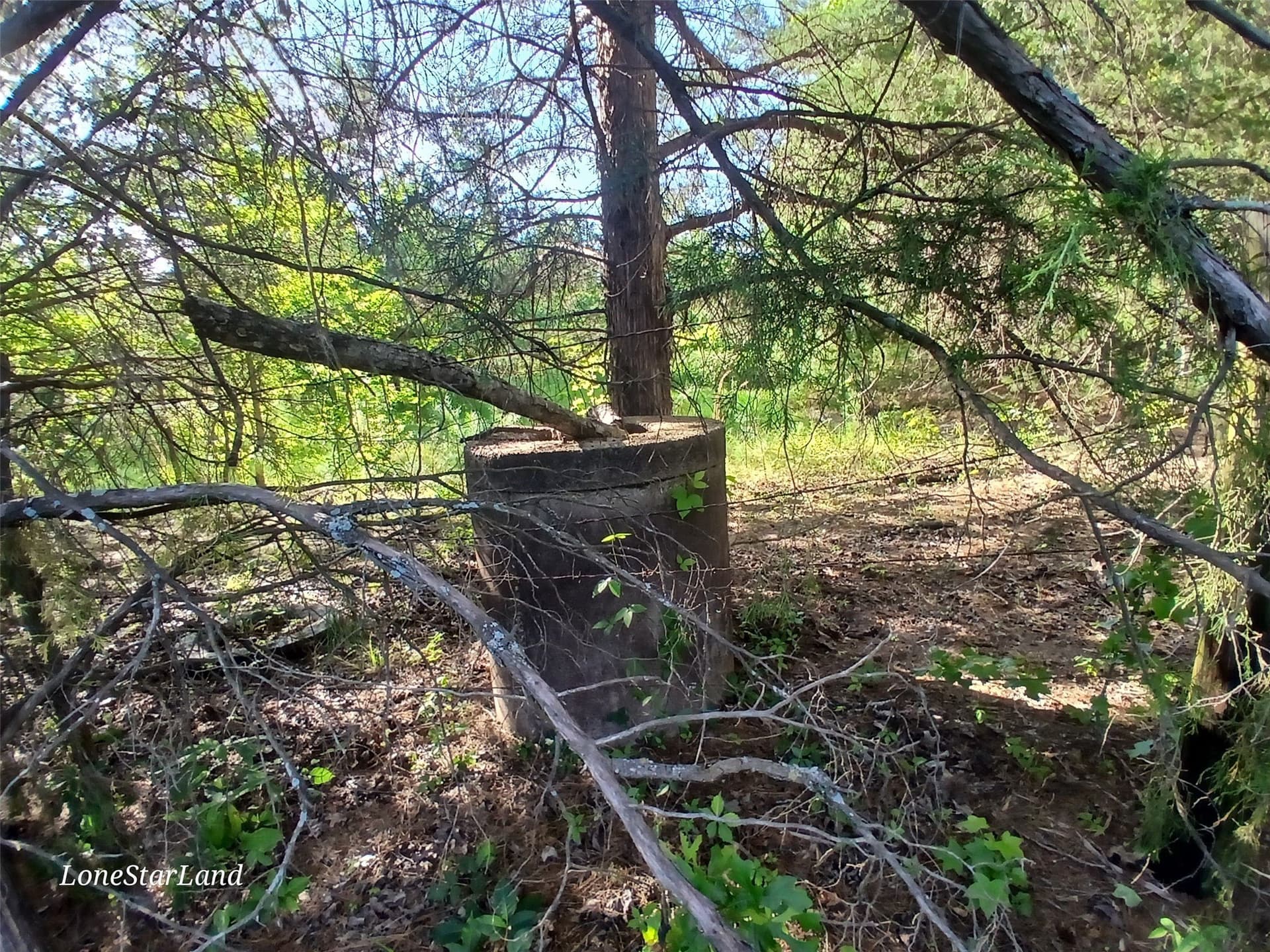 1 acres in Camp County - photo 2