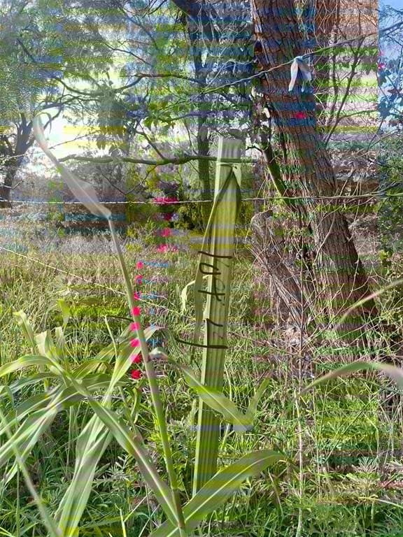 0.59 acres in Palo Pinto County gallery image 3