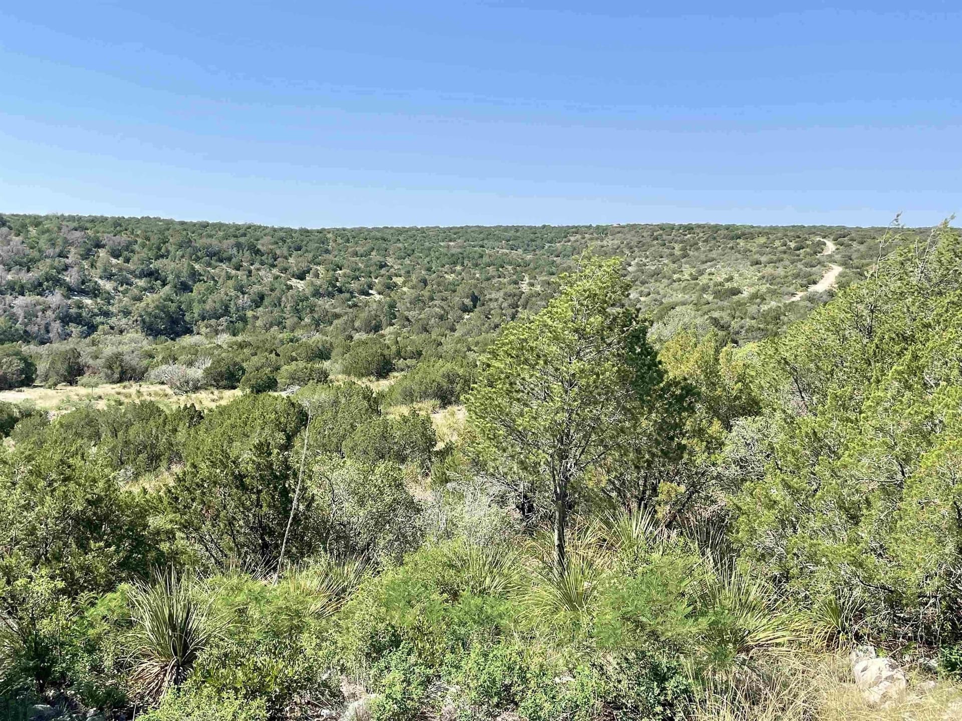 60.34 acres in Val Verde County gallery image 4