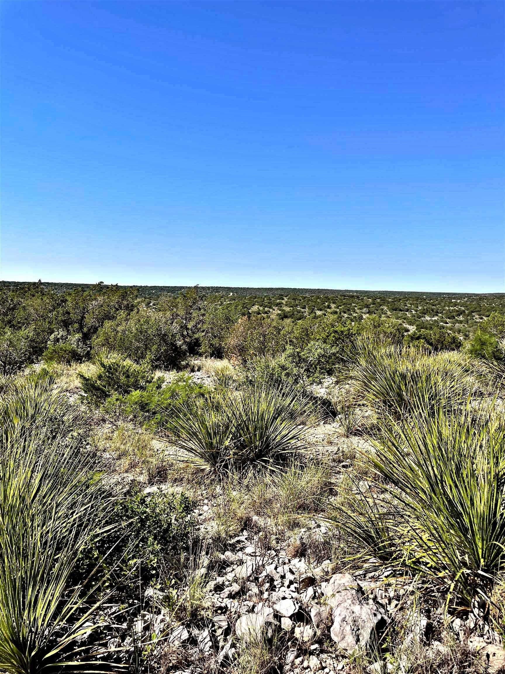 60.34 acres in Val Verde County gallery image 2