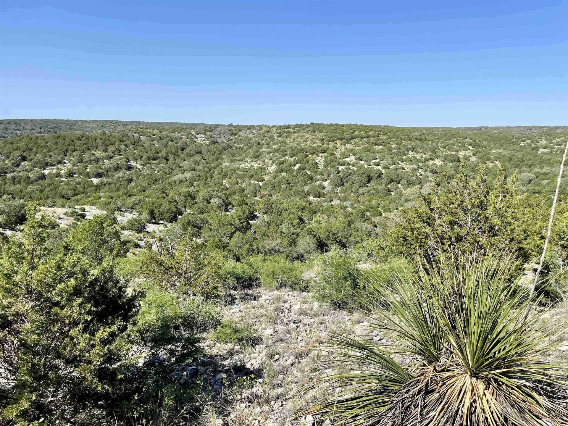 60.34 acres in Val Verde County gallery image 3