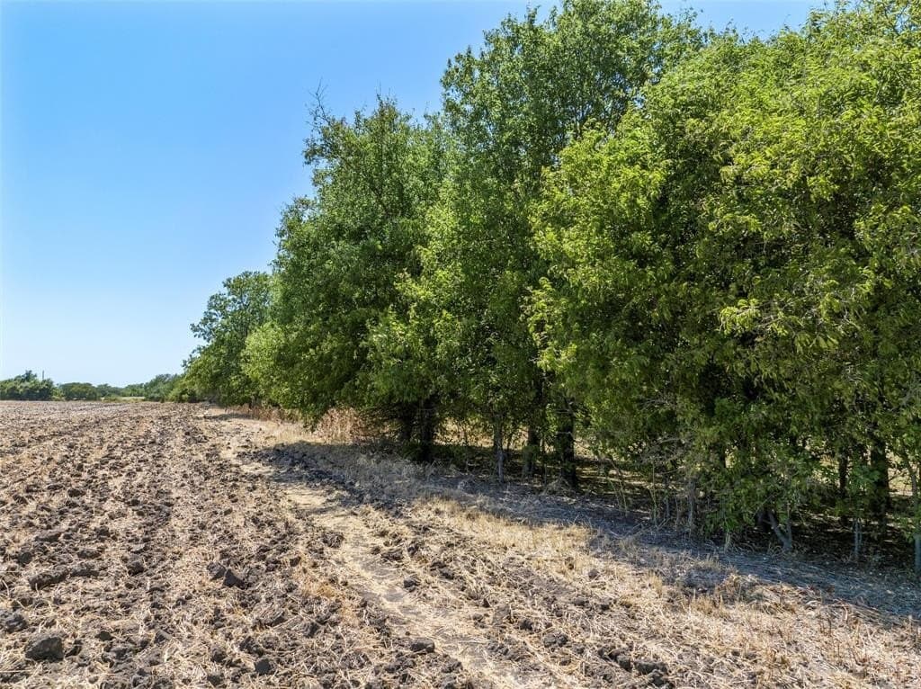 12.5 acres in McLennan County featured view