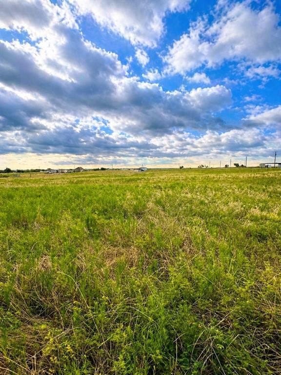 4.02 acres in Grayson County gallery image 2