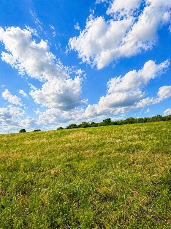 4.02 acres in Grayson County gallery image 3