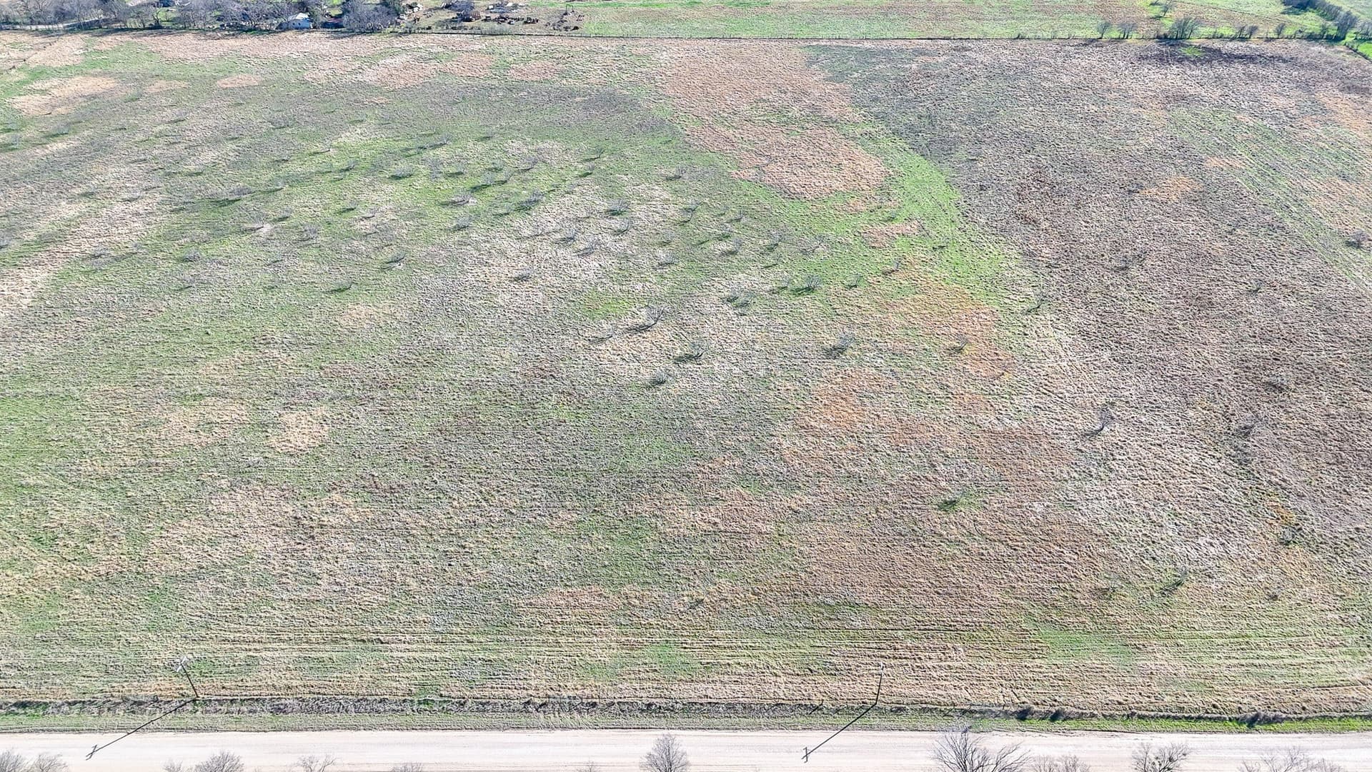 5.03 acres in Navarro County - photo 11