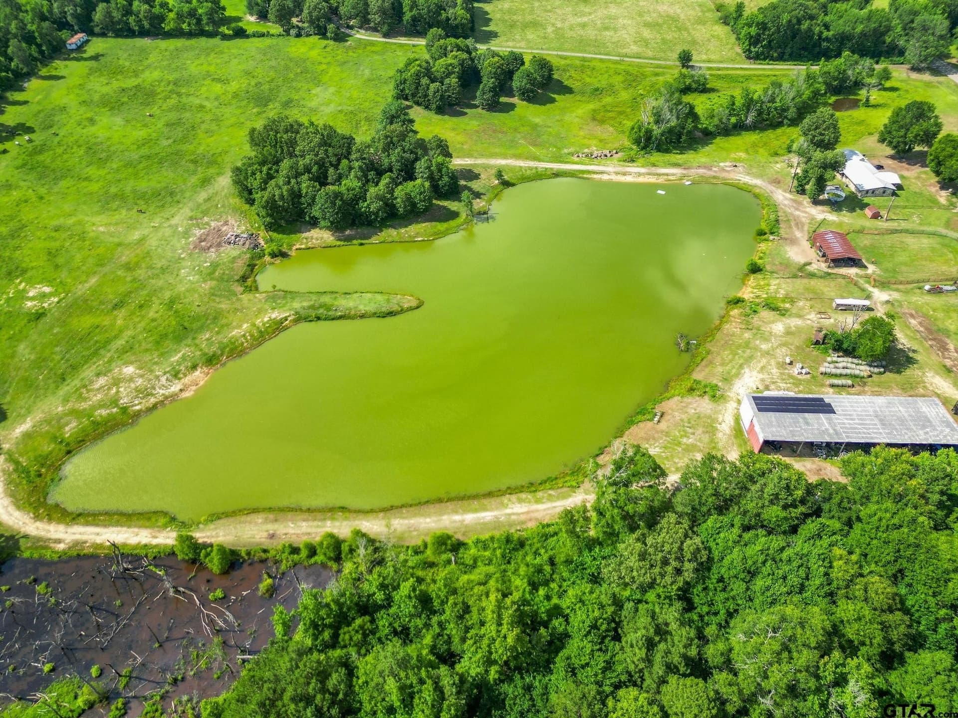 10 acres in Cass County gallery image 3