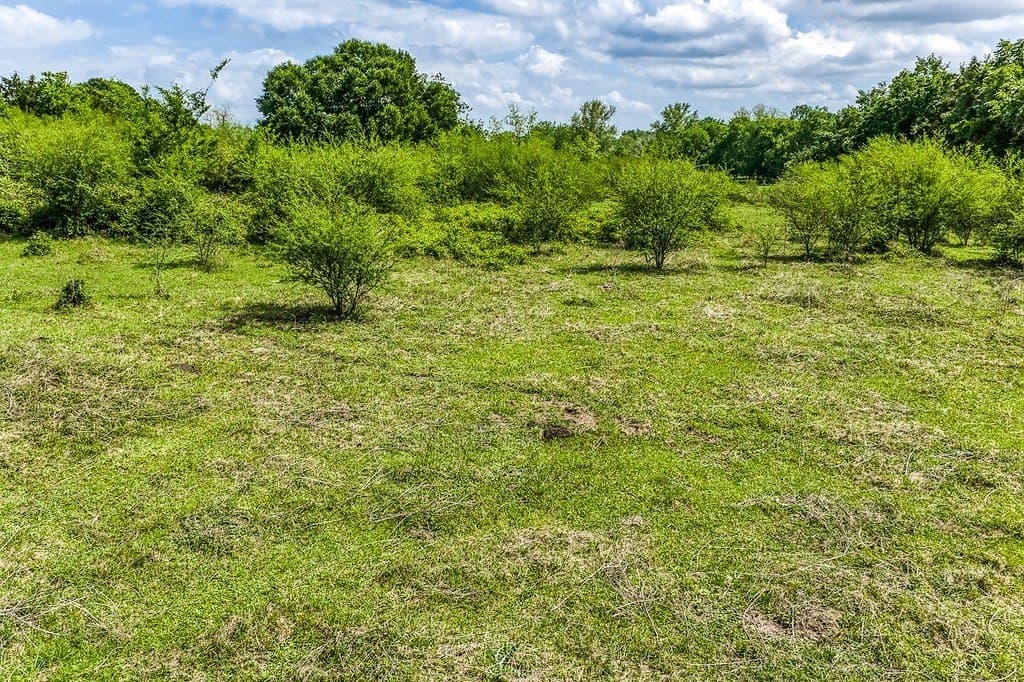 12.55 acres in Washington County - photo 6