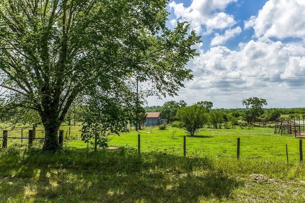 12.55 acres in Washington County gallery image 2