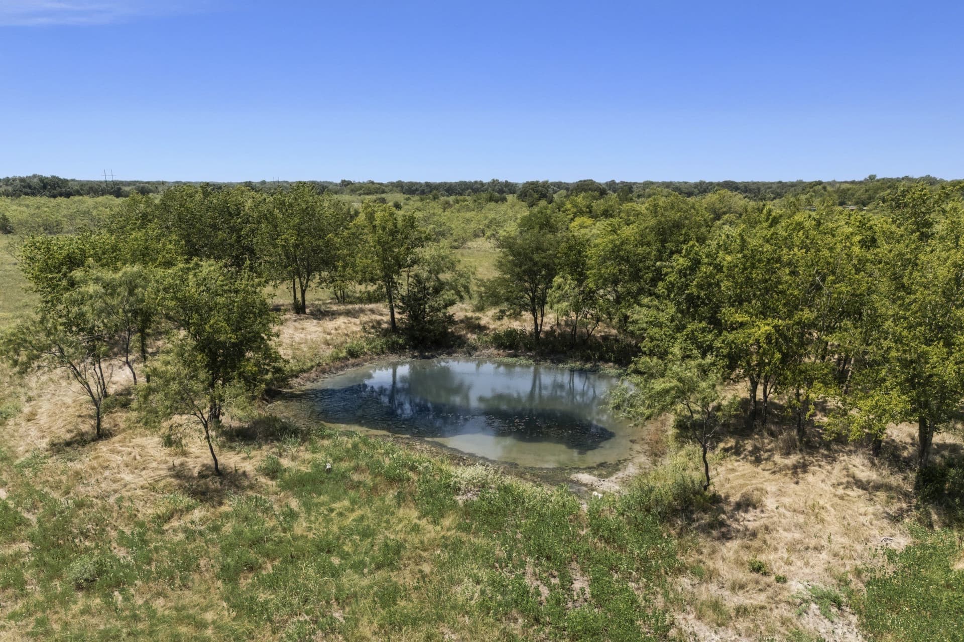 10 acres in Kaufman County gallery image 2