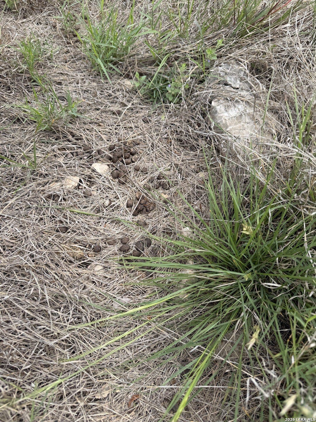 70.41 acres in Edwards County - photo 25