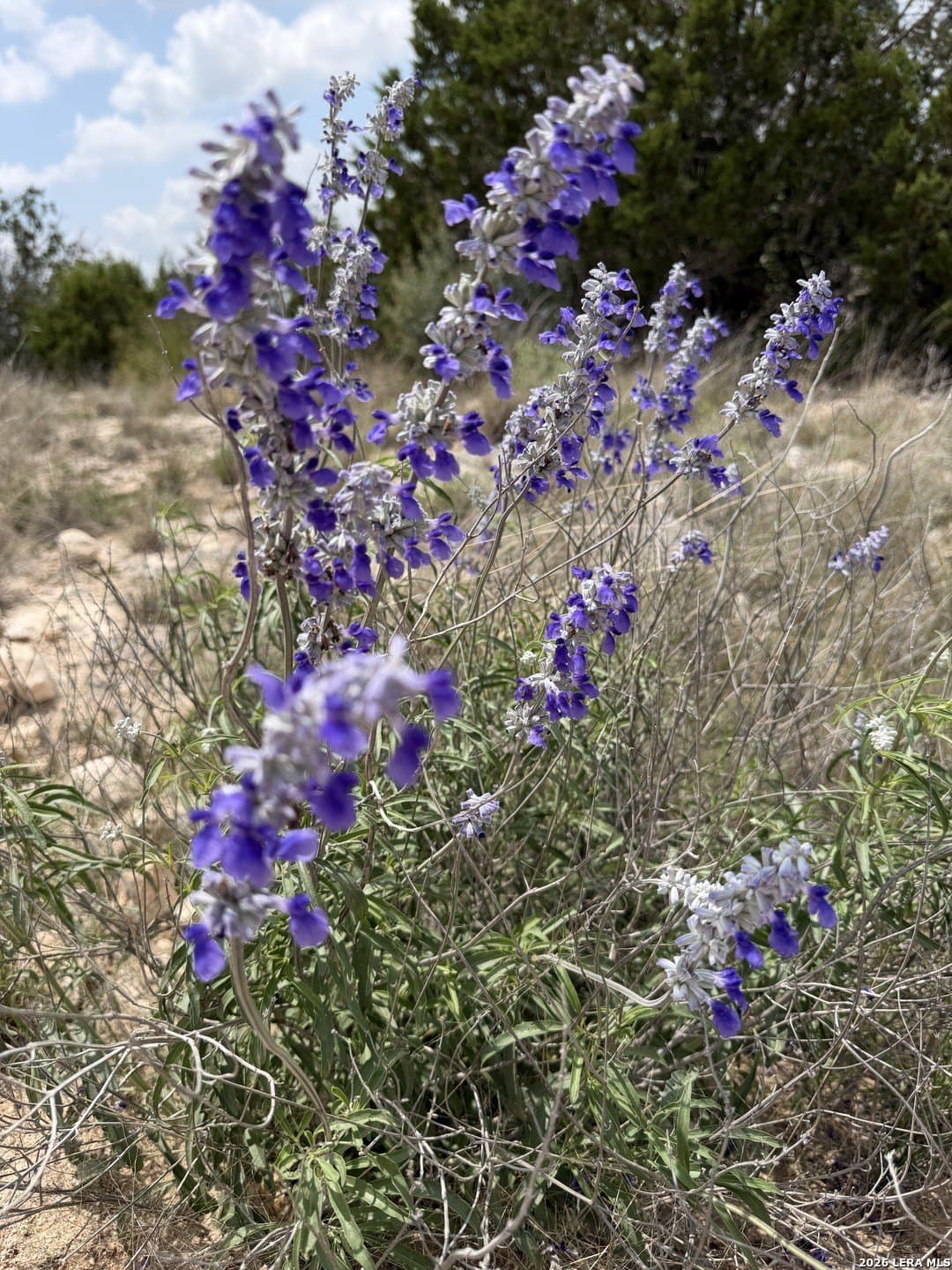 70.41 acres in Edwards County - photo 29