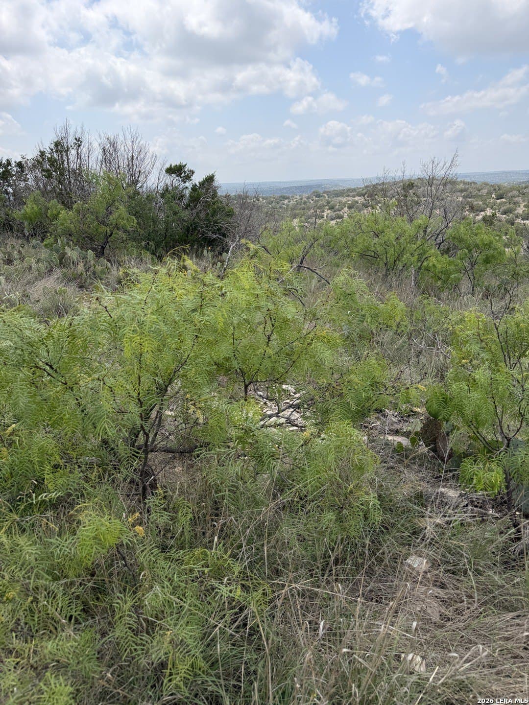 70.41 acres in Edwards County - photo 23