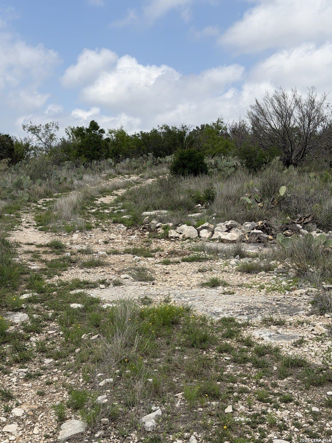 70.41 acres in Edwards County - photo 21