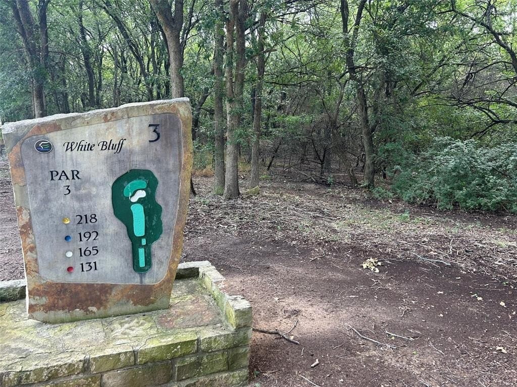 0.26 acres in Hill County gallery image 3