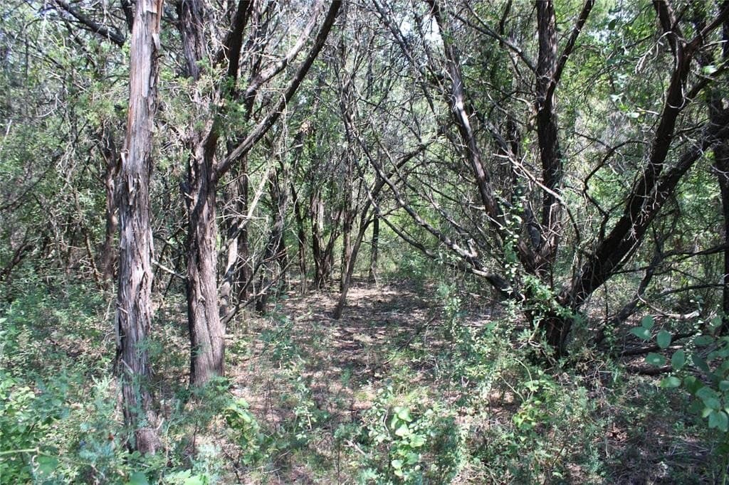 0.26 acres in Hill County gallery image 4