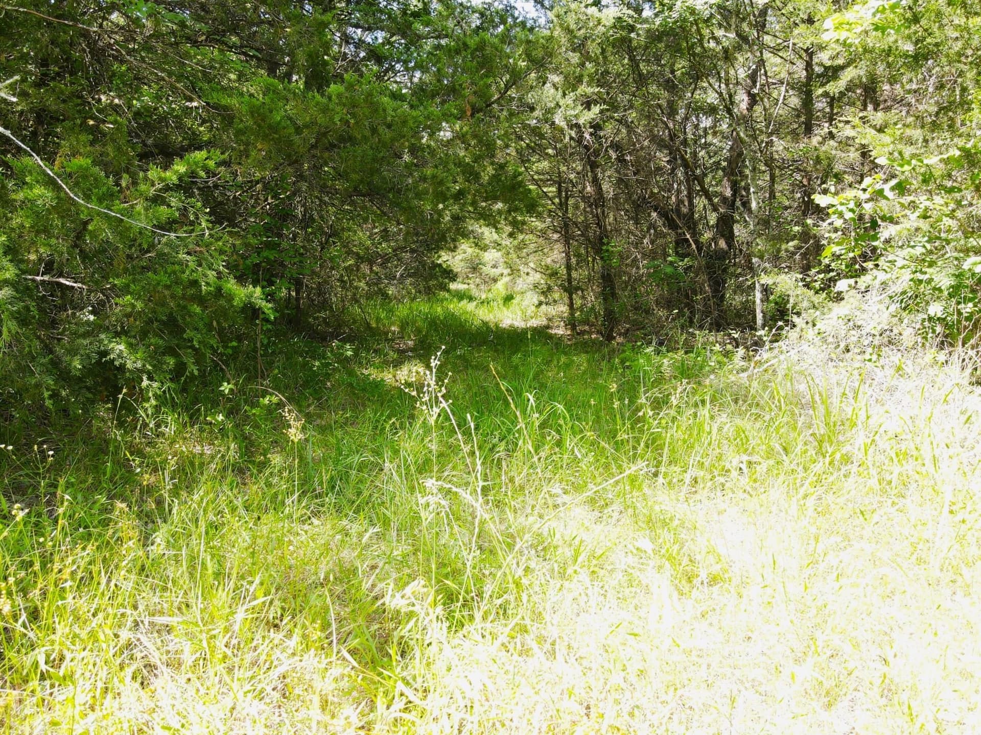 29 acres in Kaufman County - photo 5