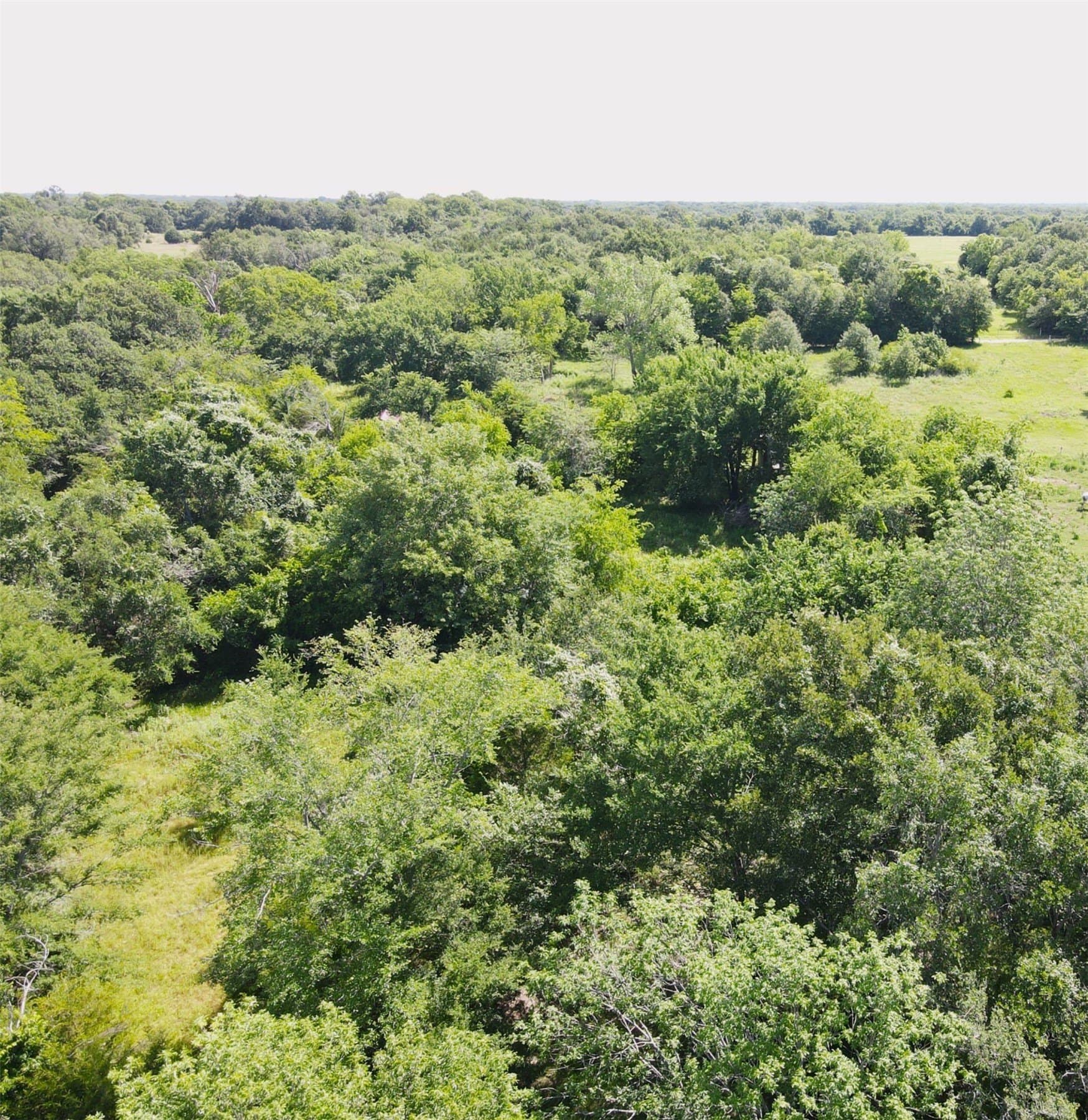 29 acres in Kaufman County - photo 8