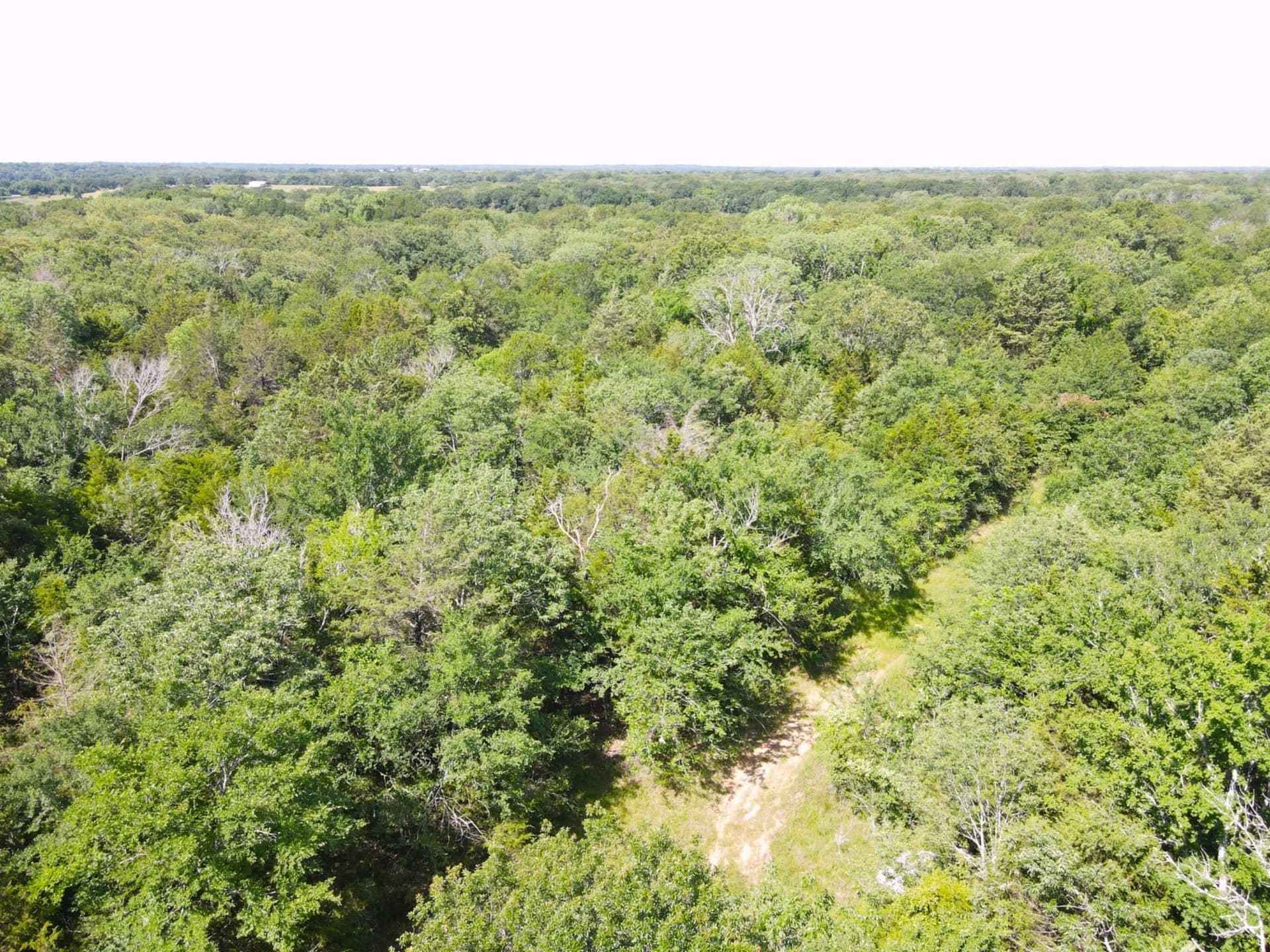 29 acres in Kaufman County - photo 6