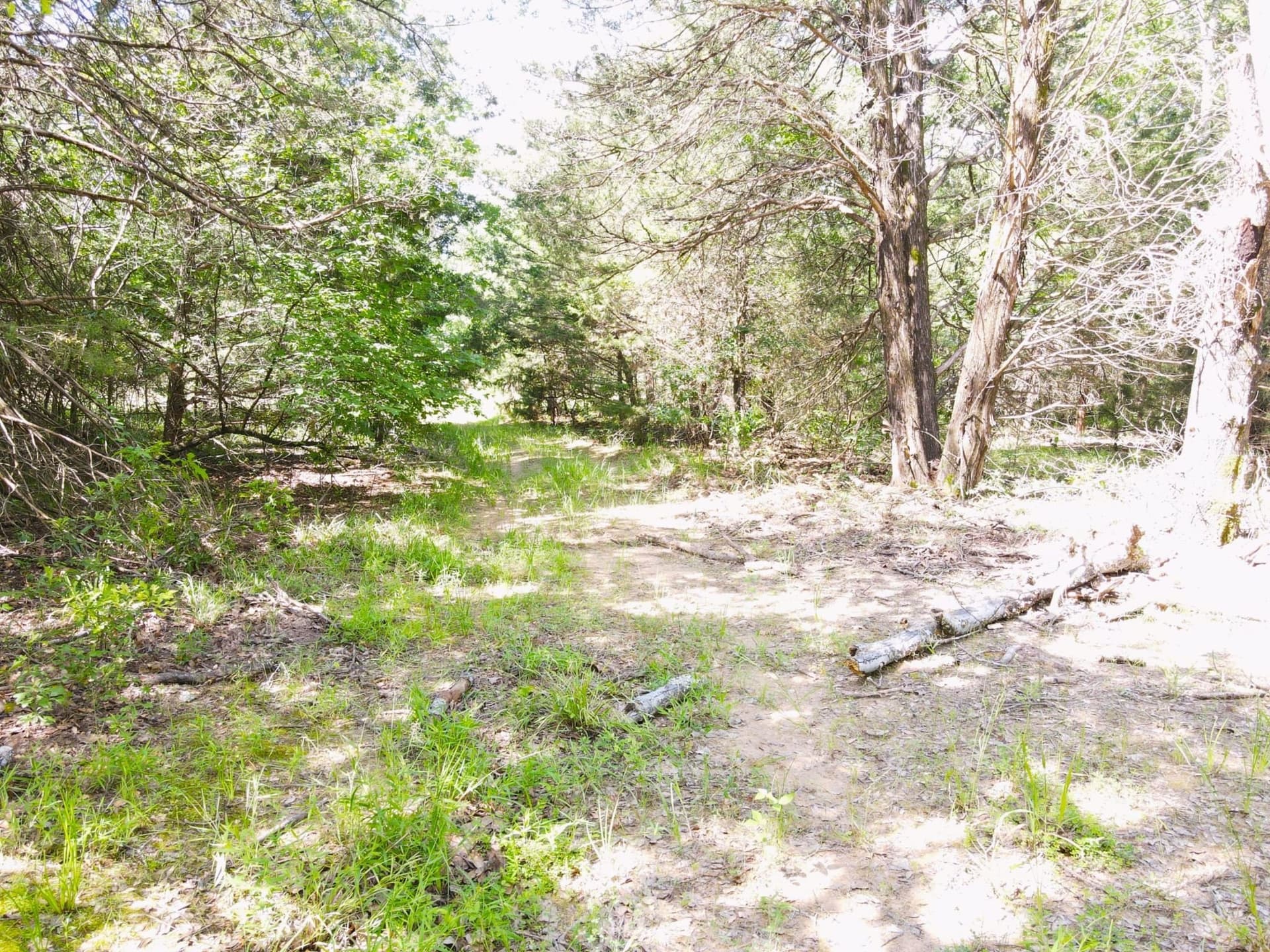 29 acres in Kaufman County - photo 2